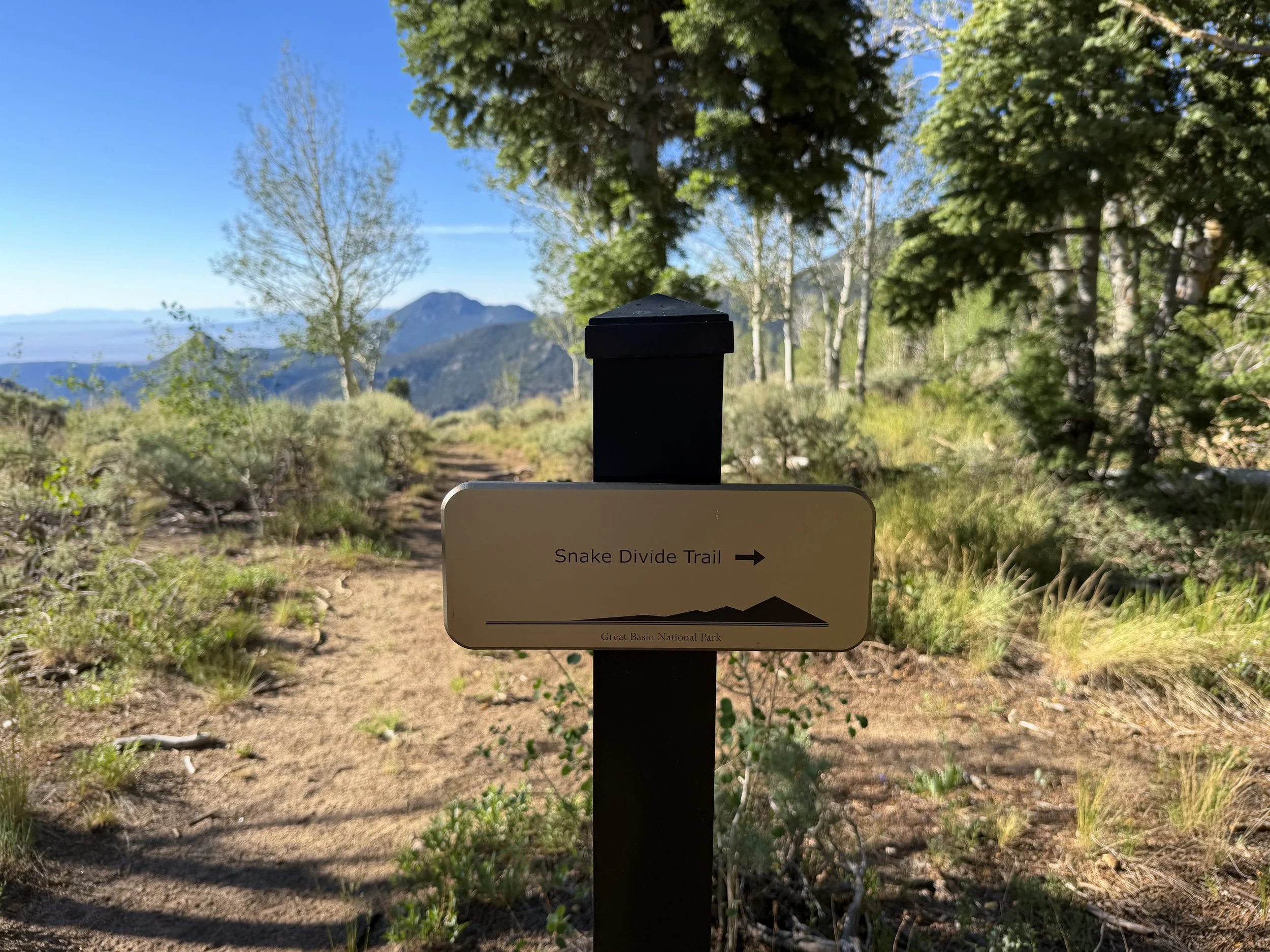 Snake Divide Trail Great Basin National Park Nevada