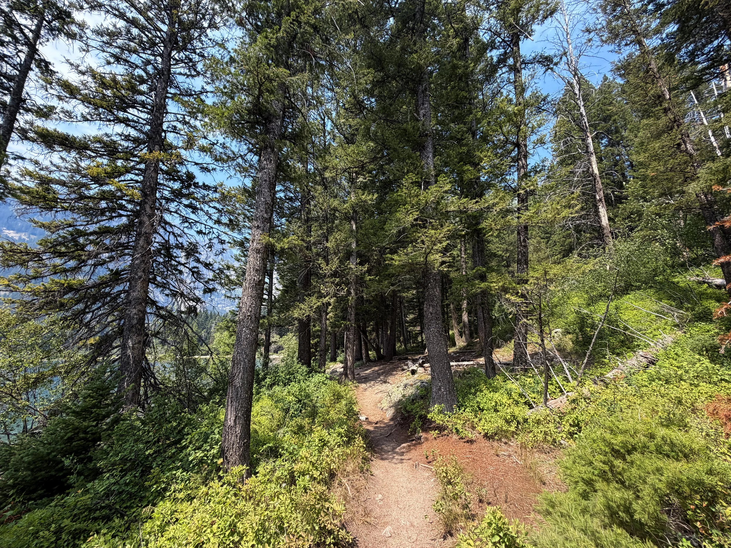Phelps Lake Loop Trail Grand Teton National Park Wyoming