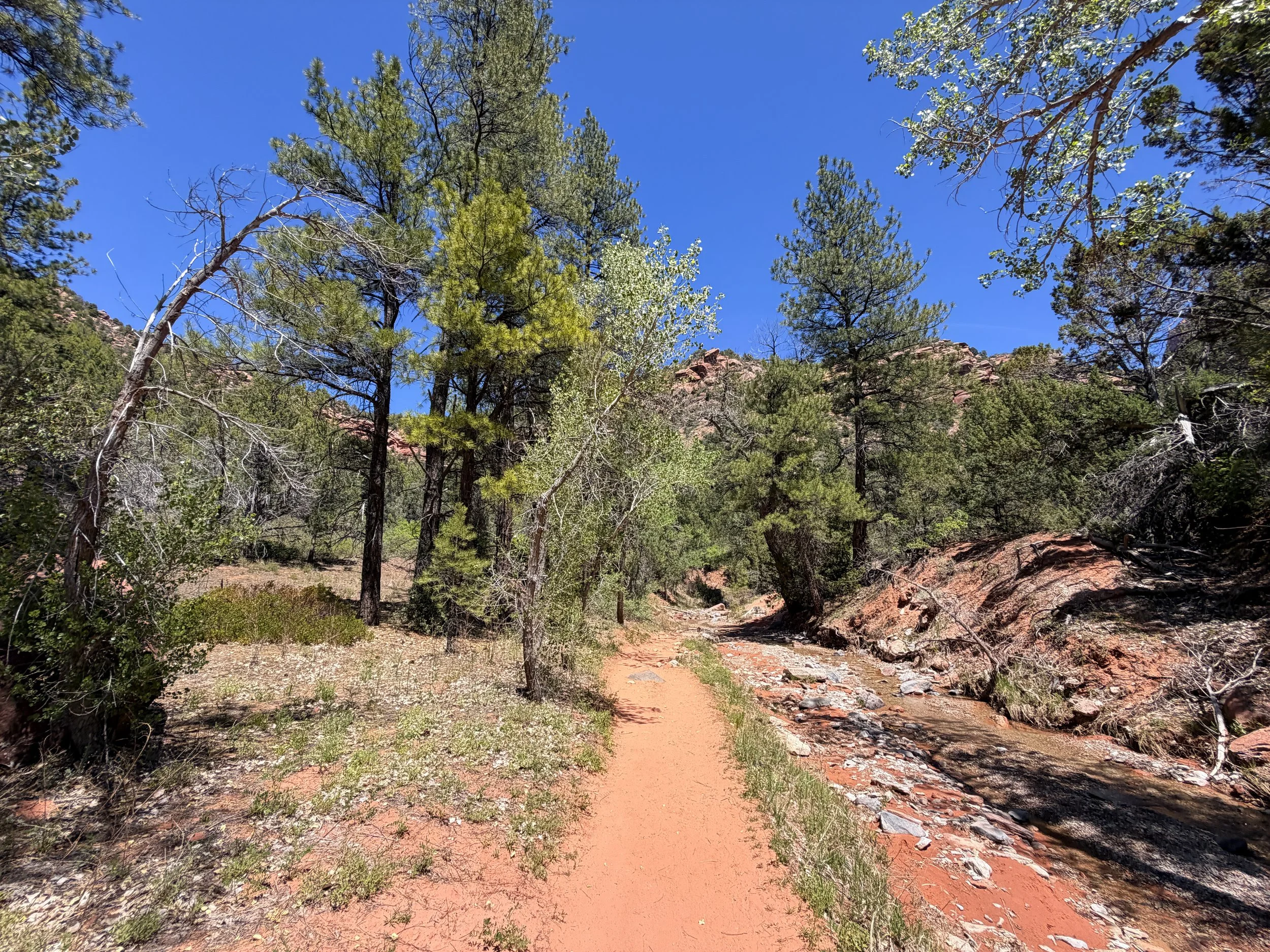 Middle Taylor Creek Trail Zion National Park Utah