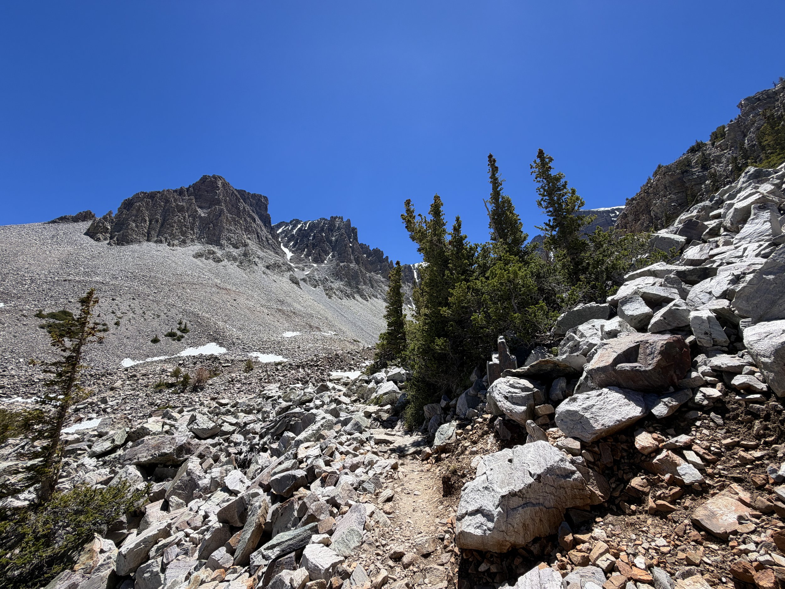 Glacier Trail Great Basin National Park Nevada
