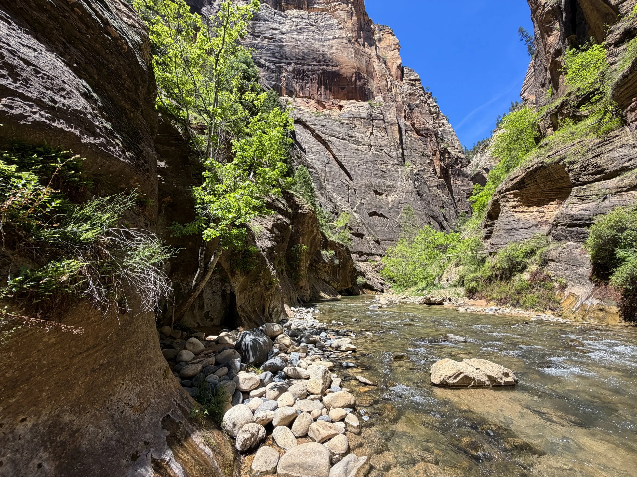 Narrows Hike Zion National Park Utah