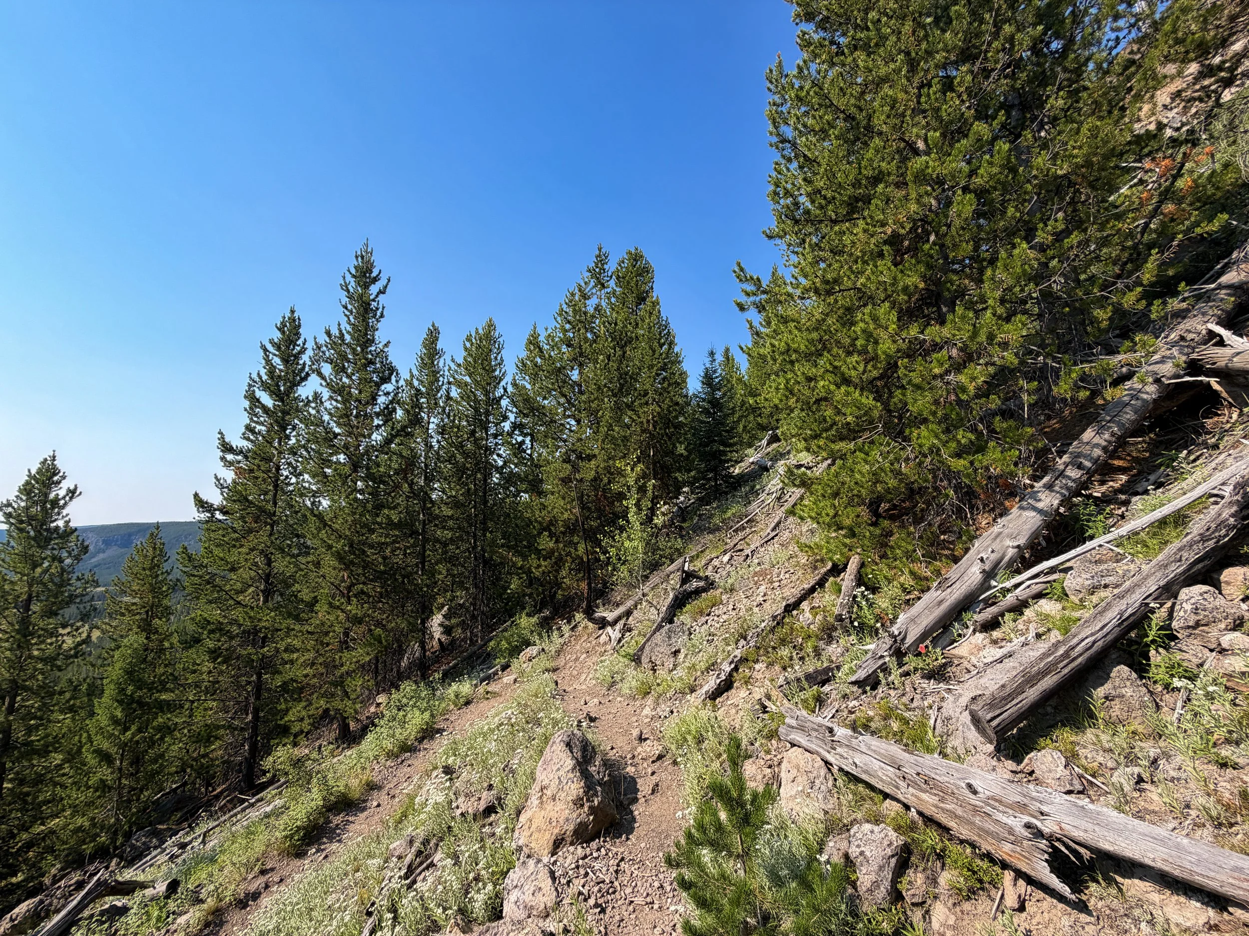 Mystic Falls Trail Yellowstone National Park Wyoming
