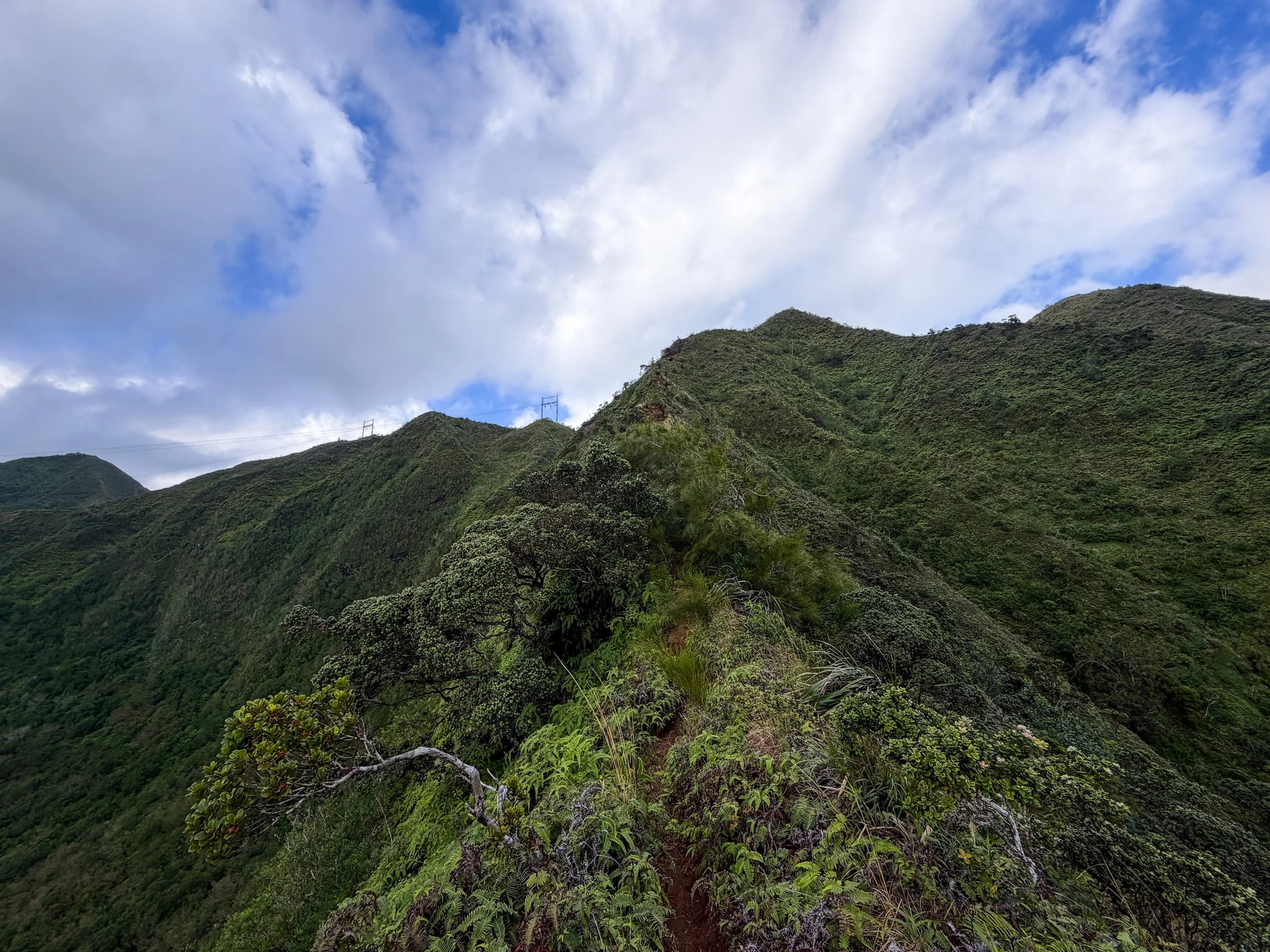 Kaau Crater Trail Oahu Hawaii
