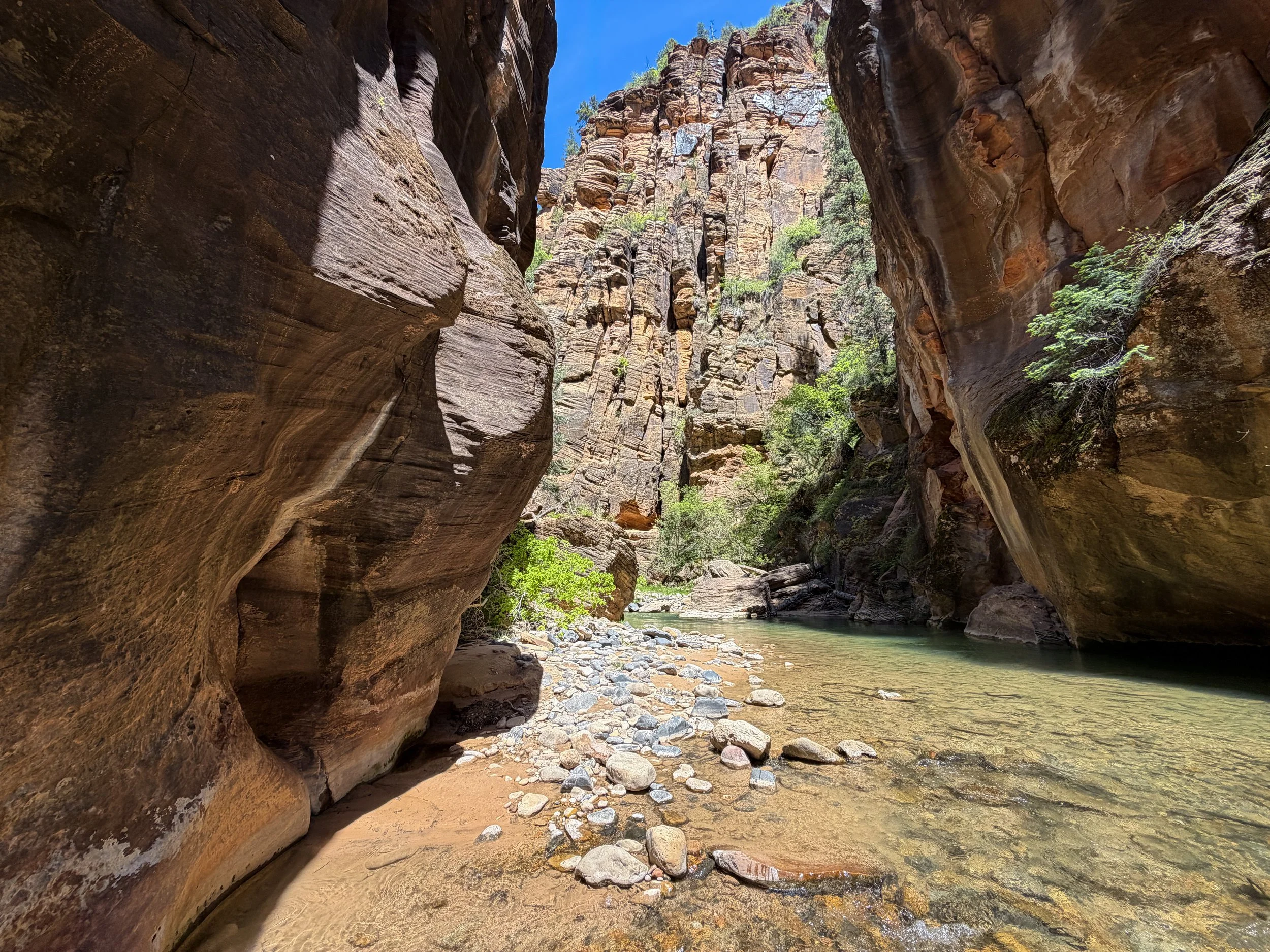 The Narrows Zion National Park Utah