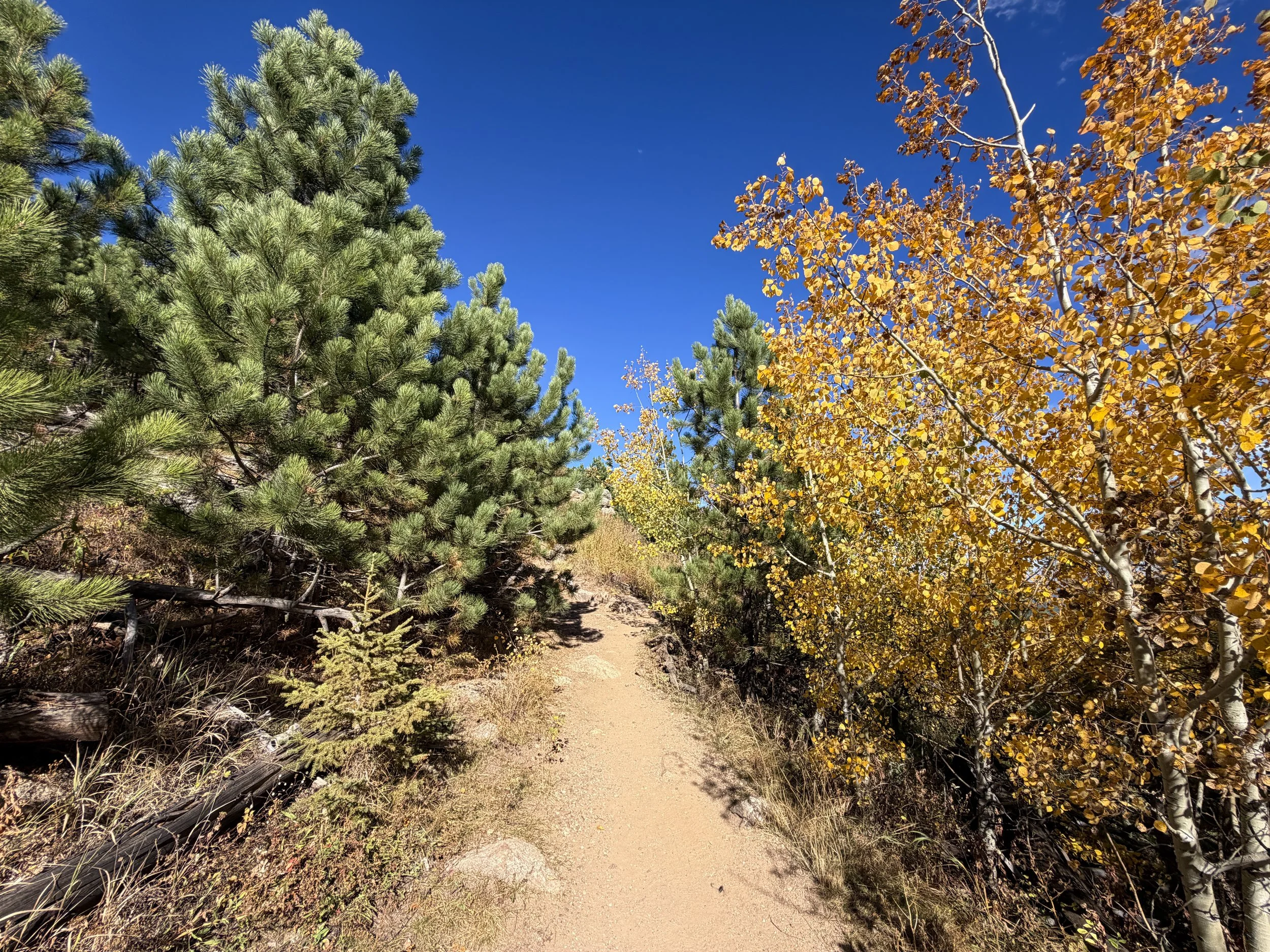 Black Elk Peak Trail to Harney Peak Lookout Black Hills South Dakota