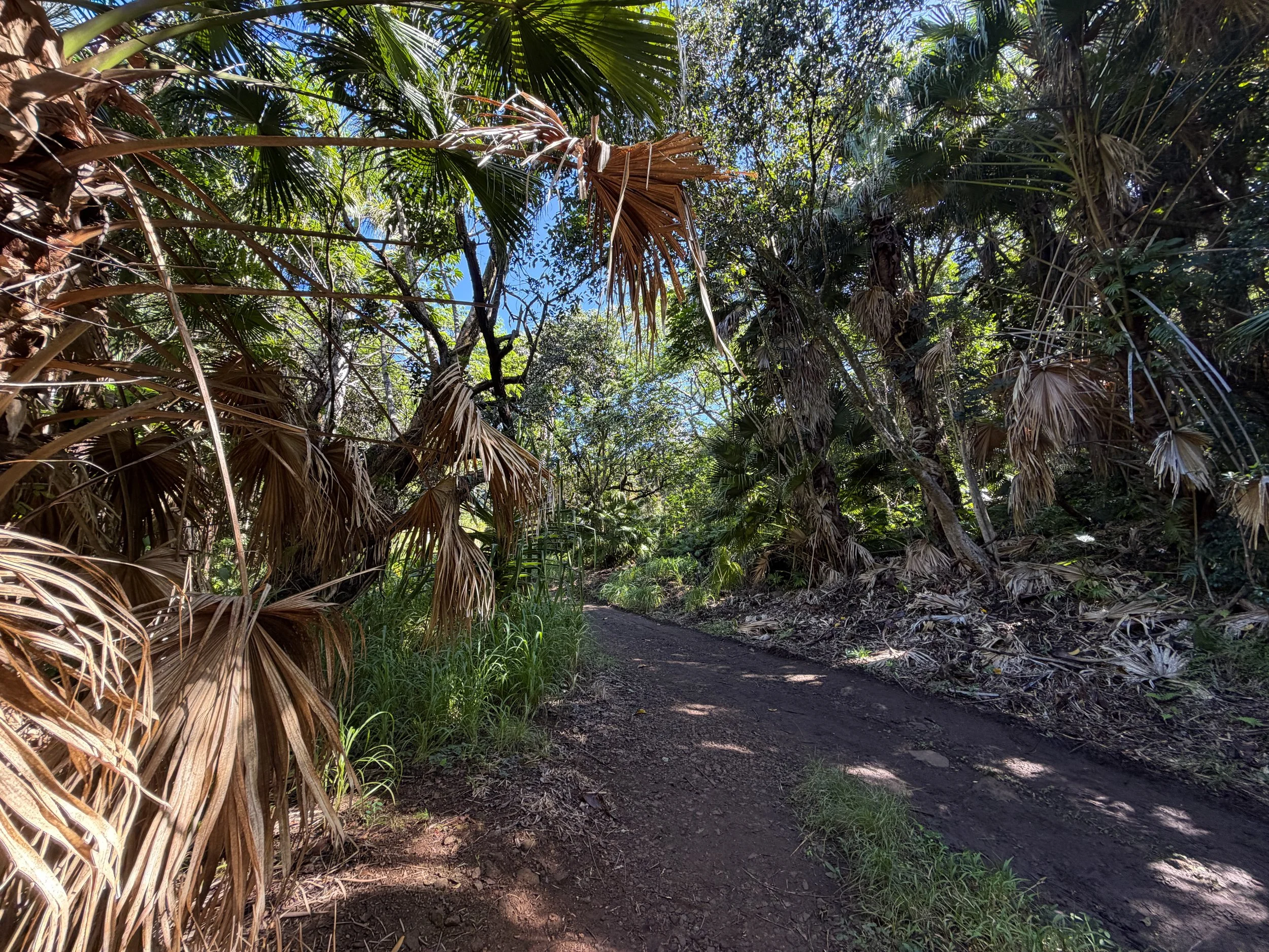 Tripler Ridge Trail via Moanalua Valley Oahu Hawaii