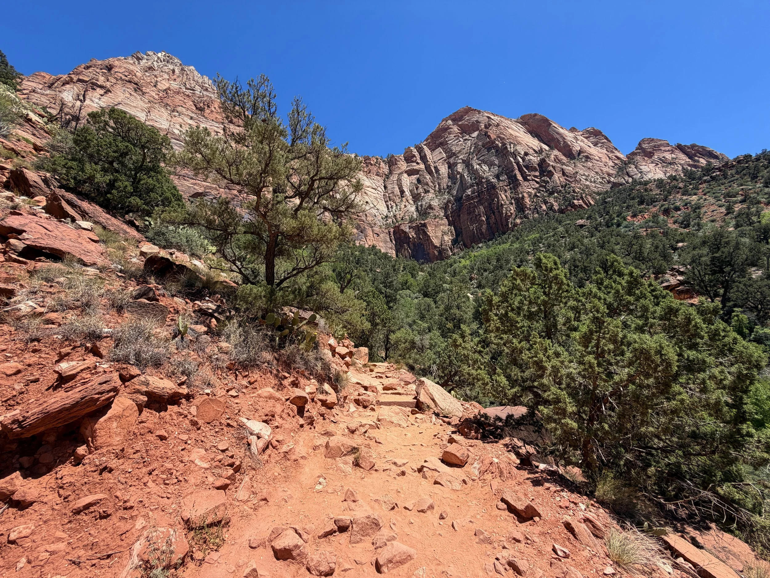 Watchman Trail Zion National Park Utah