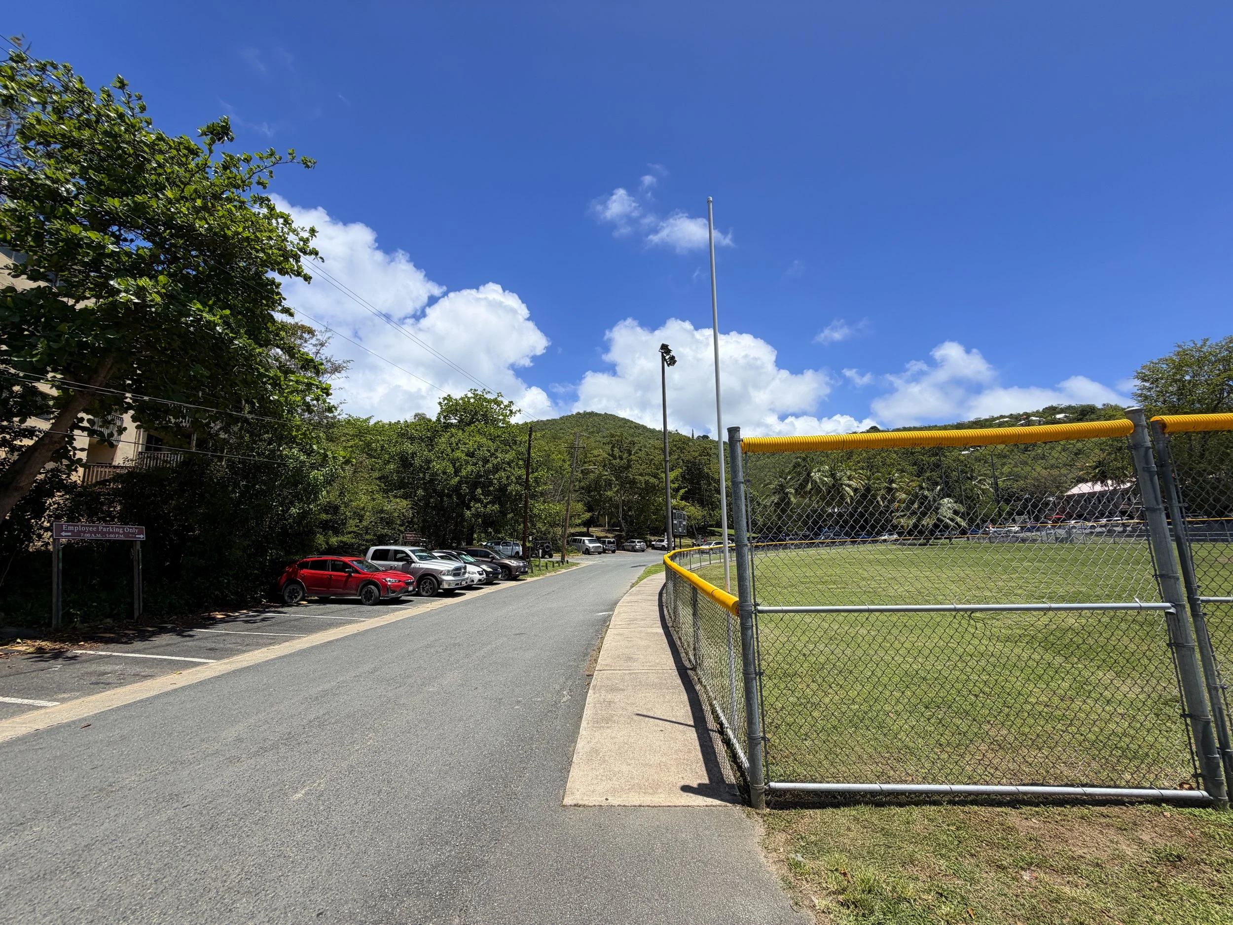 Walking to the Caneel Hill Trailhead Virgin Islands National Park