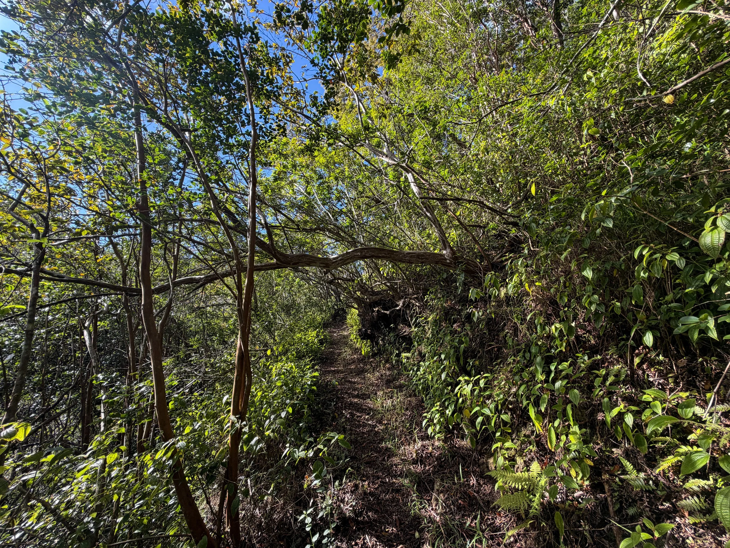 Mokuleia Trail Oahu Hawaii