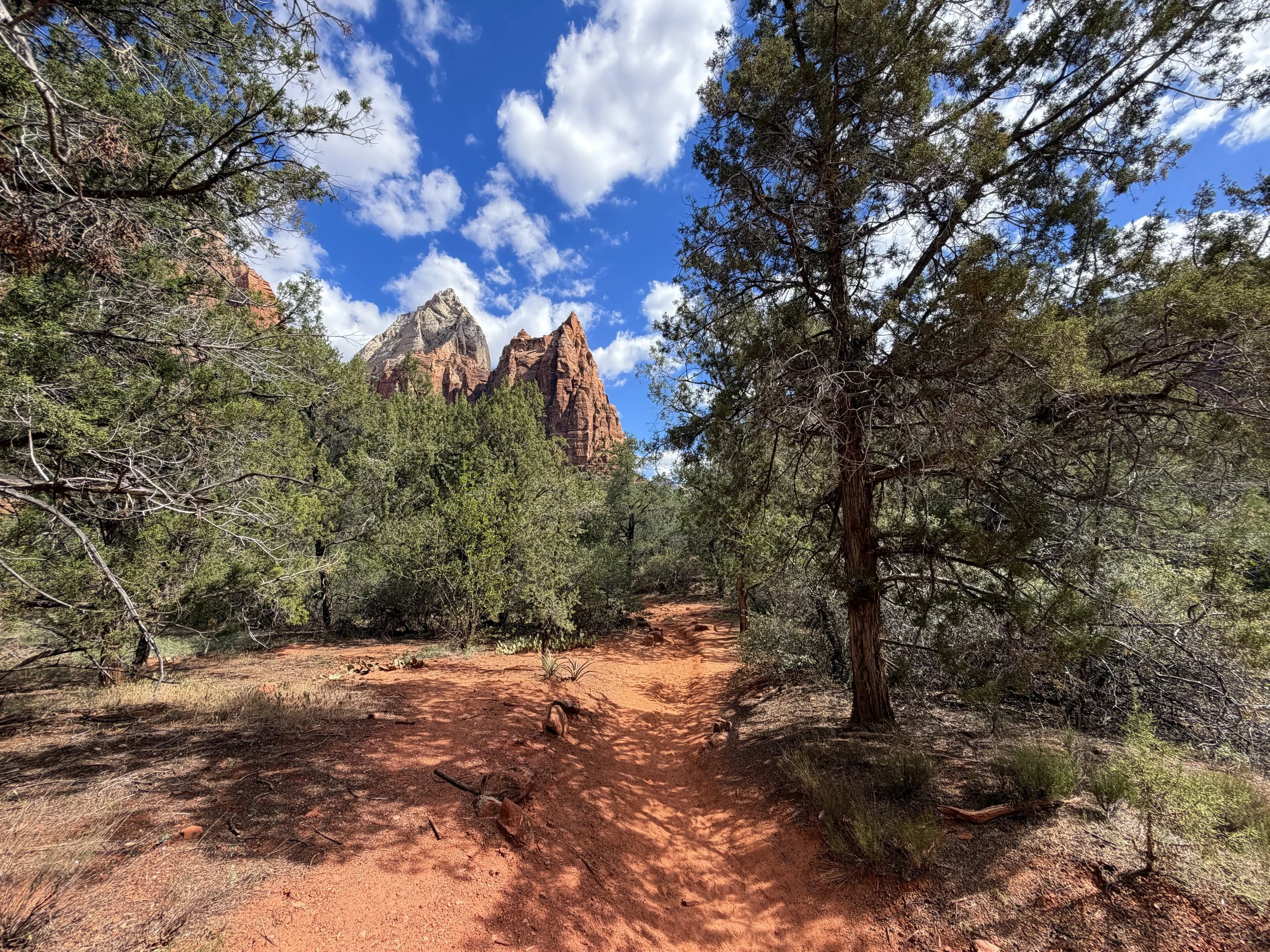 Sand Bench Trail Zion National Park Utah