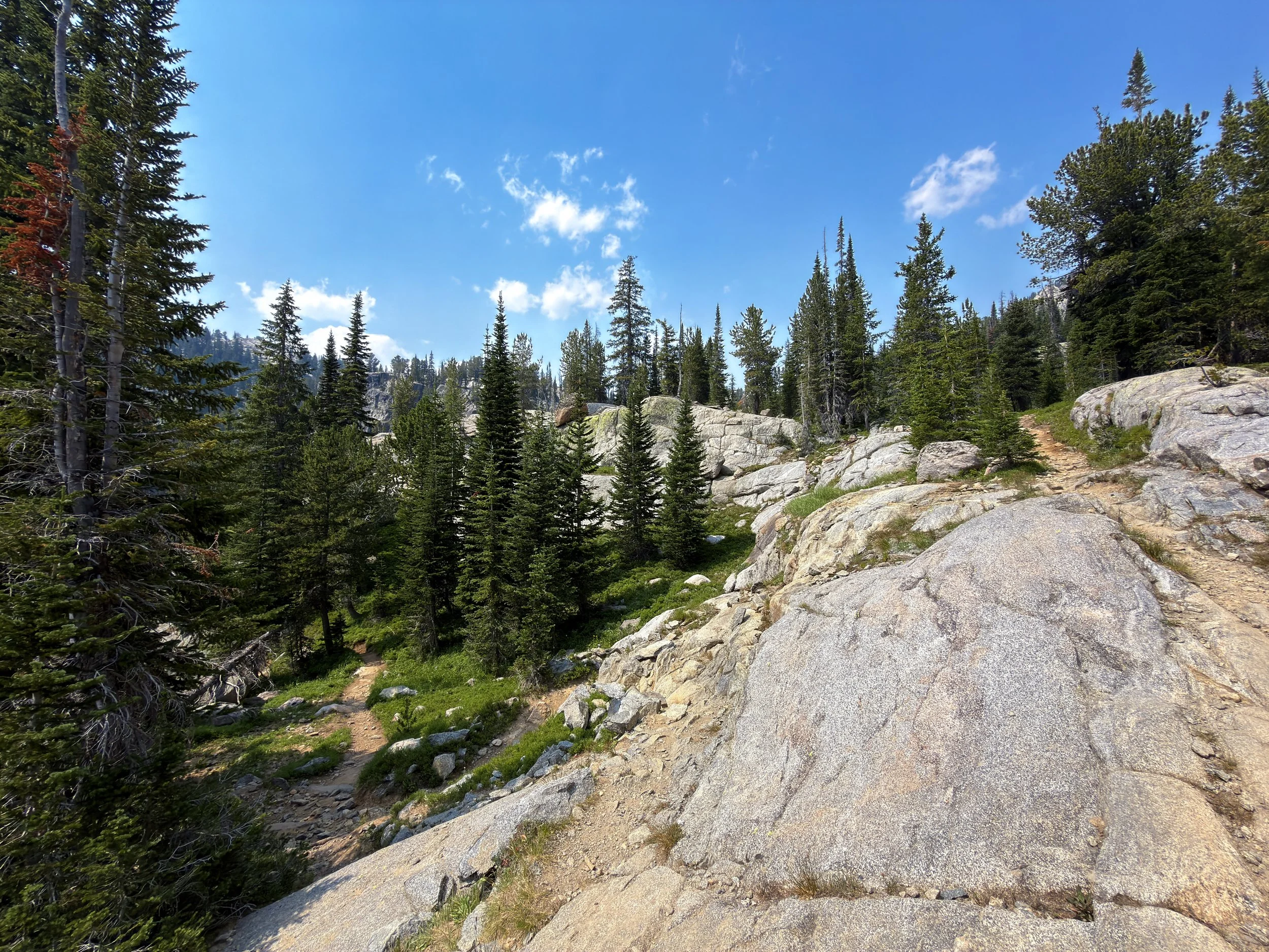 Russell Creek Trail The Beaten Path Beartooth Mountains Montana