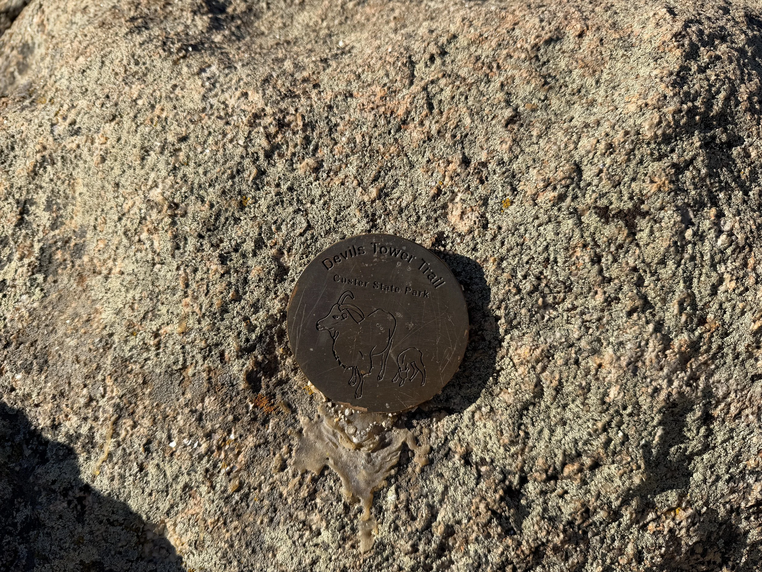 Little Devils Tower Summit Custer State Park Black Hills South Dakota