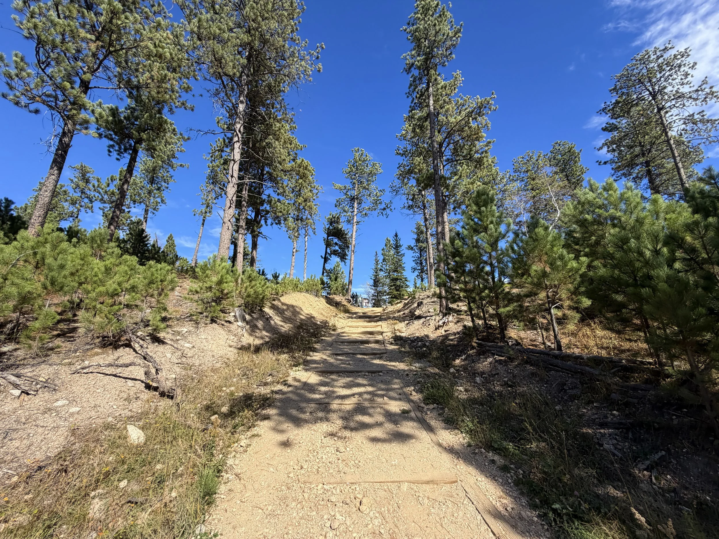 Black Elk Peak Trail Custer State Park Black Hills South Dakota