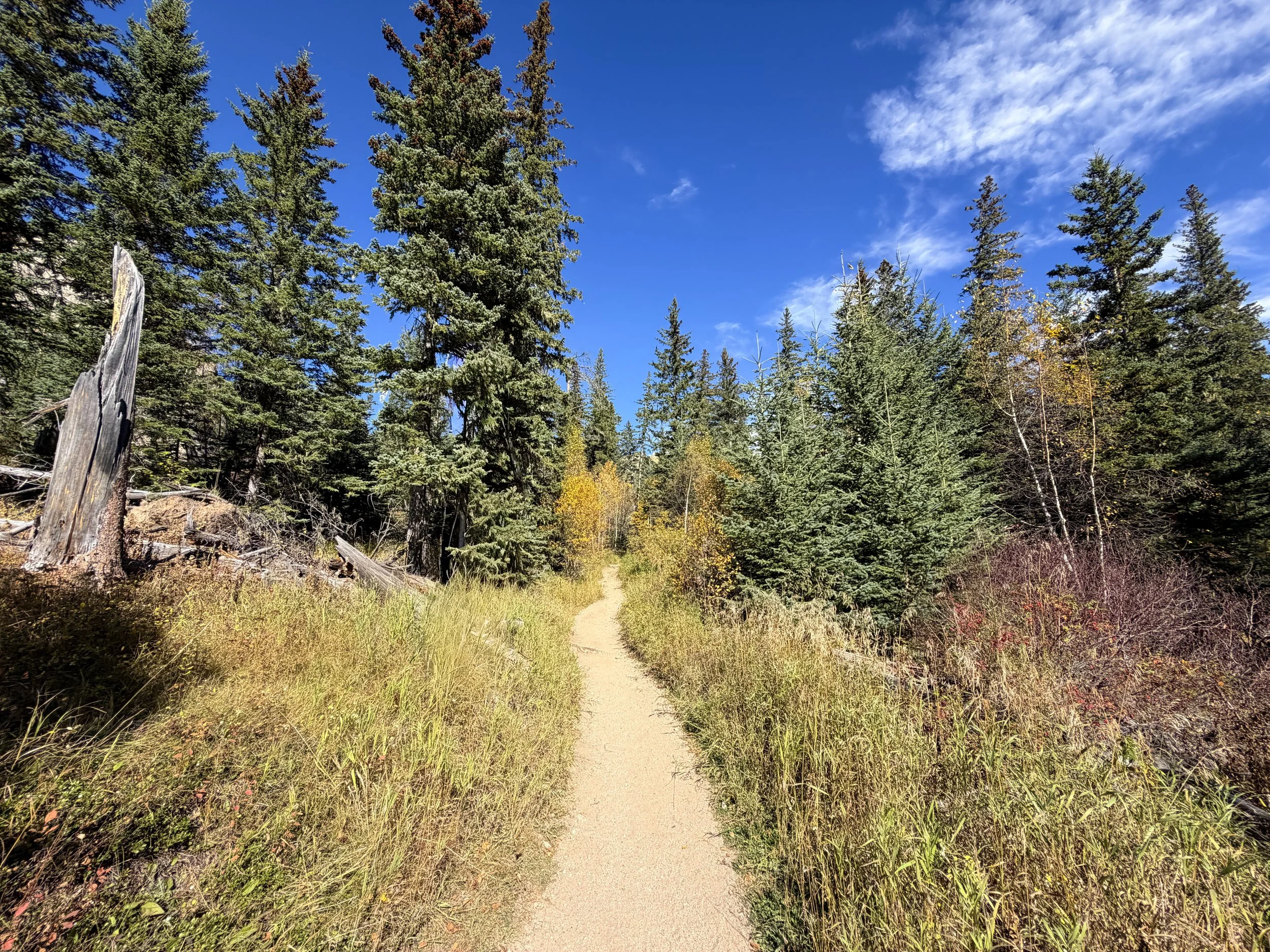 Black Elk Peak Trail Black Hills South Dakota