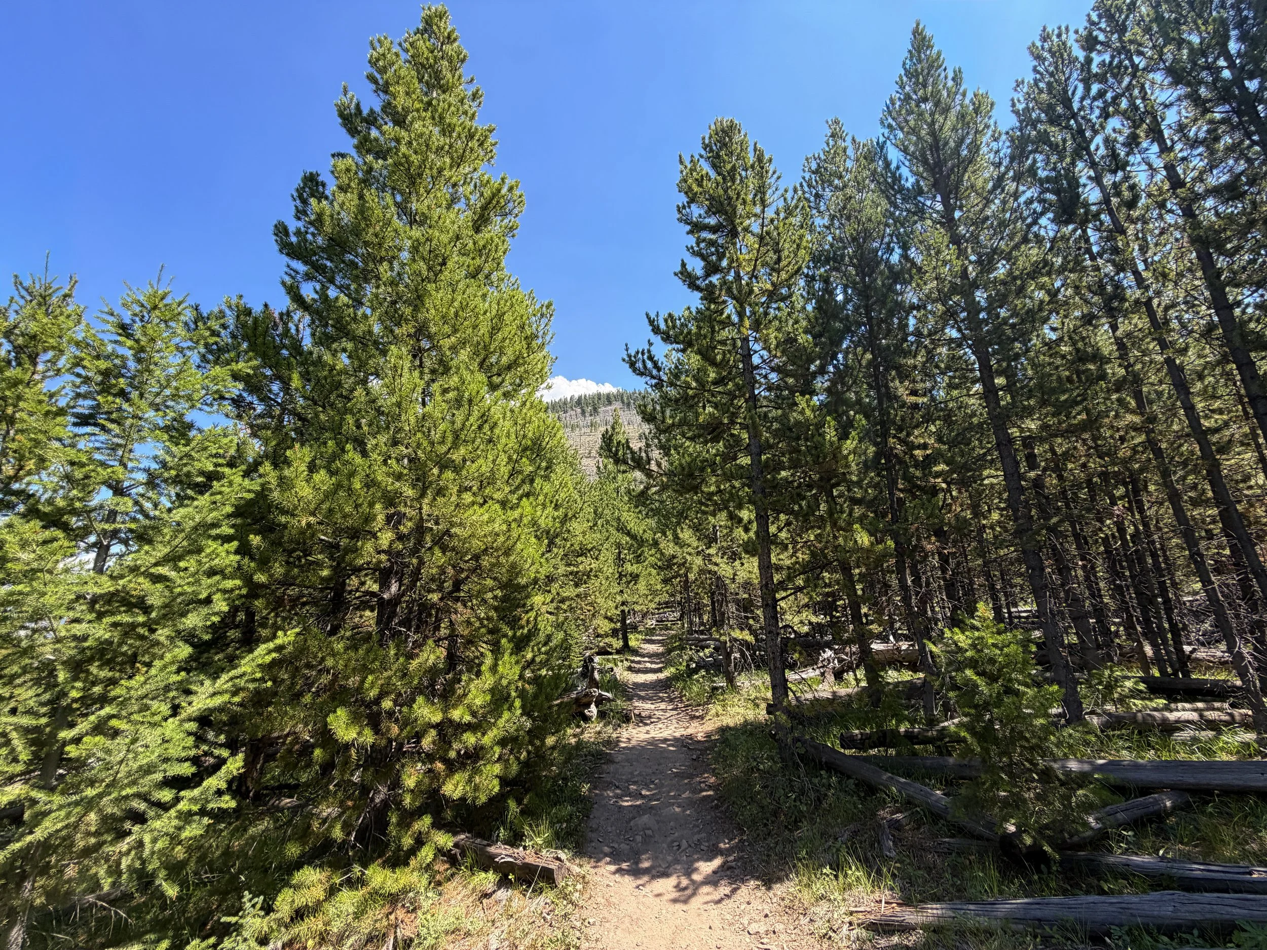 Bunsen Peak Trail Yellowstone National Park Wyoming