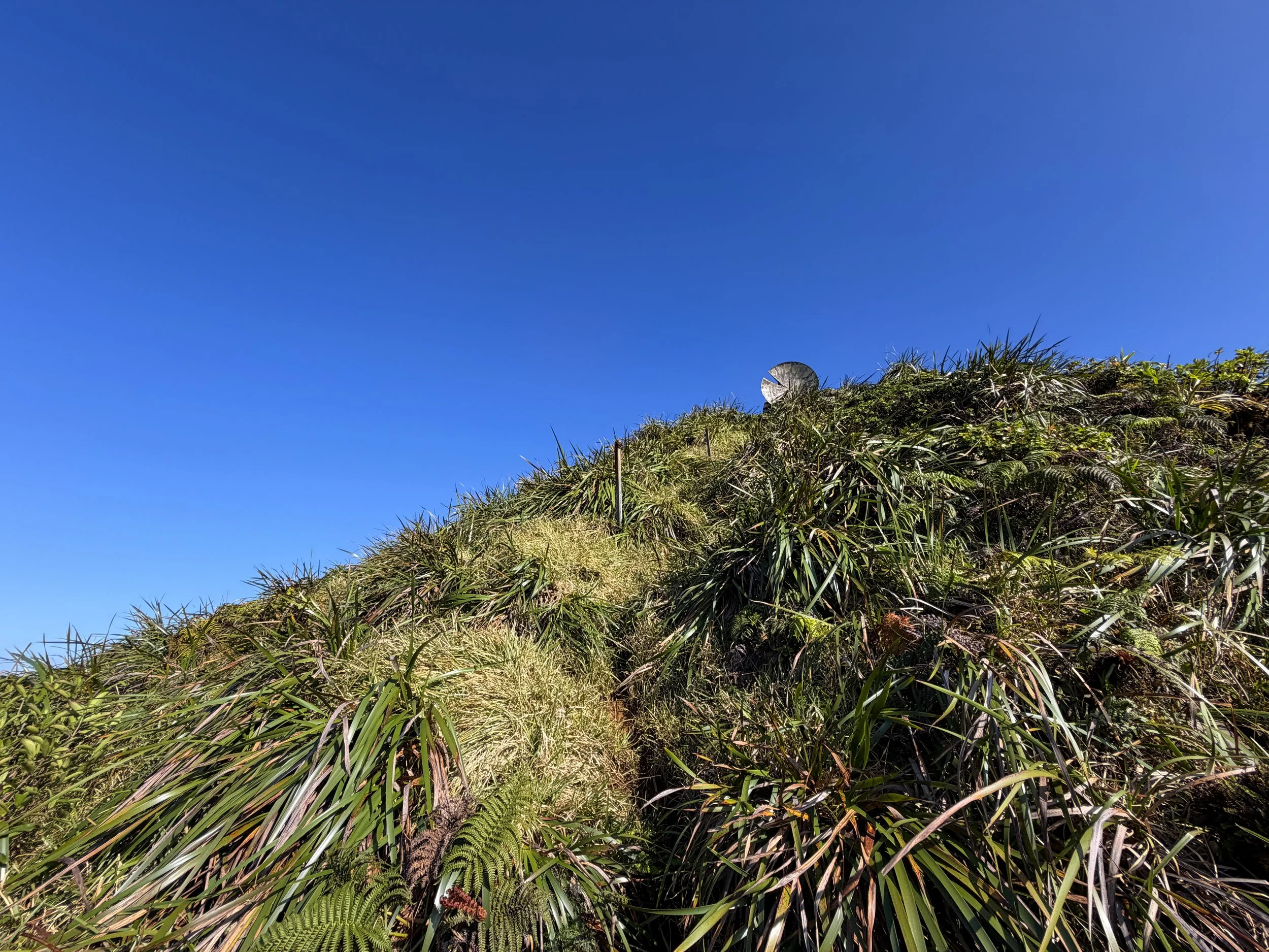 Moanalua Saddle to Stairway to Heaven Koolau Summit Trail Oahu Hawaii
