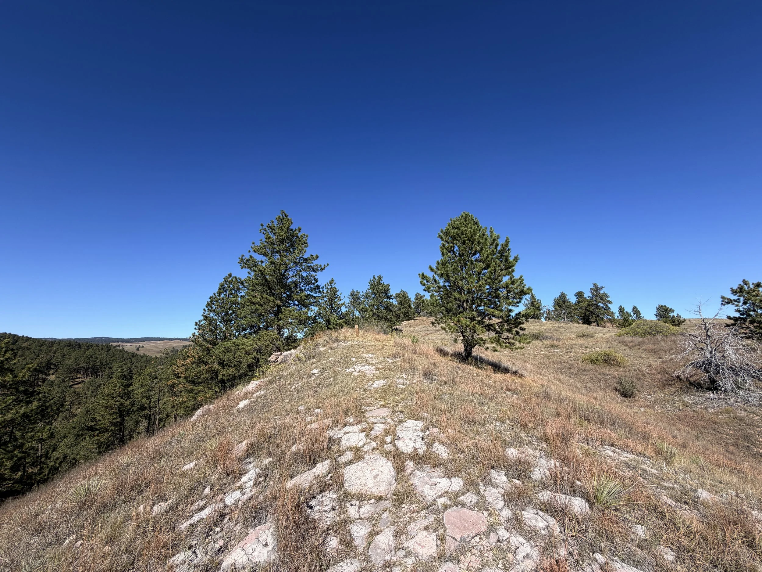 East Bison Flats Trail Wind Cave National Park South Dakota
