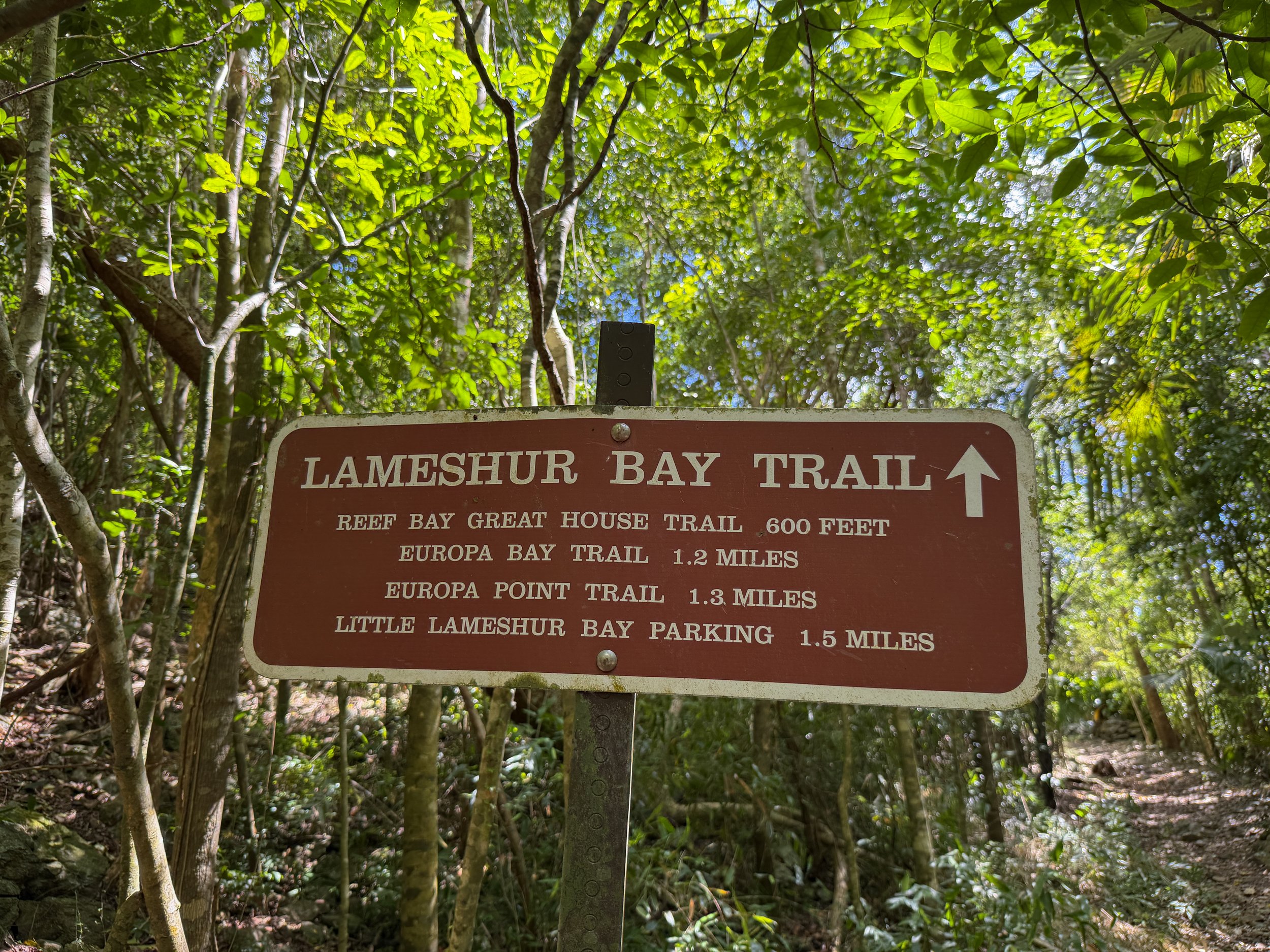 Reef Bay Trail Lameshur Bay Split Virgin Islands National Park