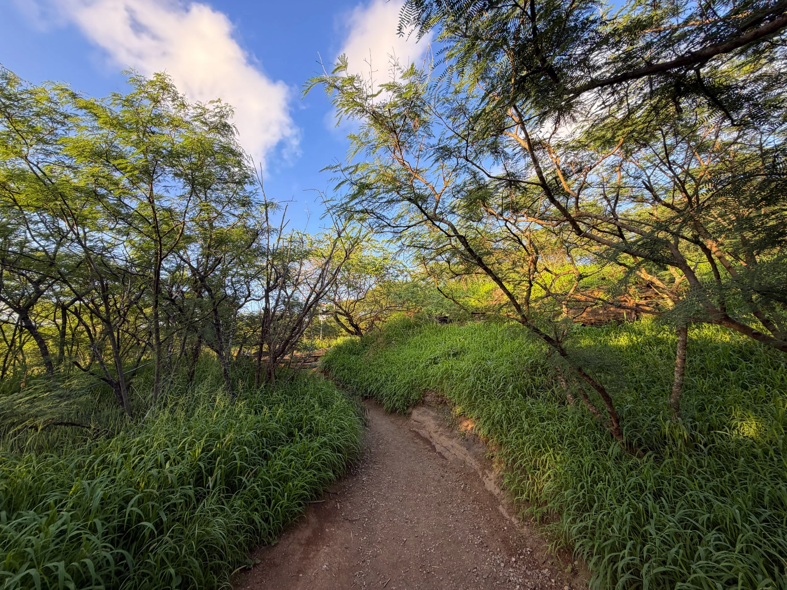 Koko Head Stairs Trail Oahu Hawaii