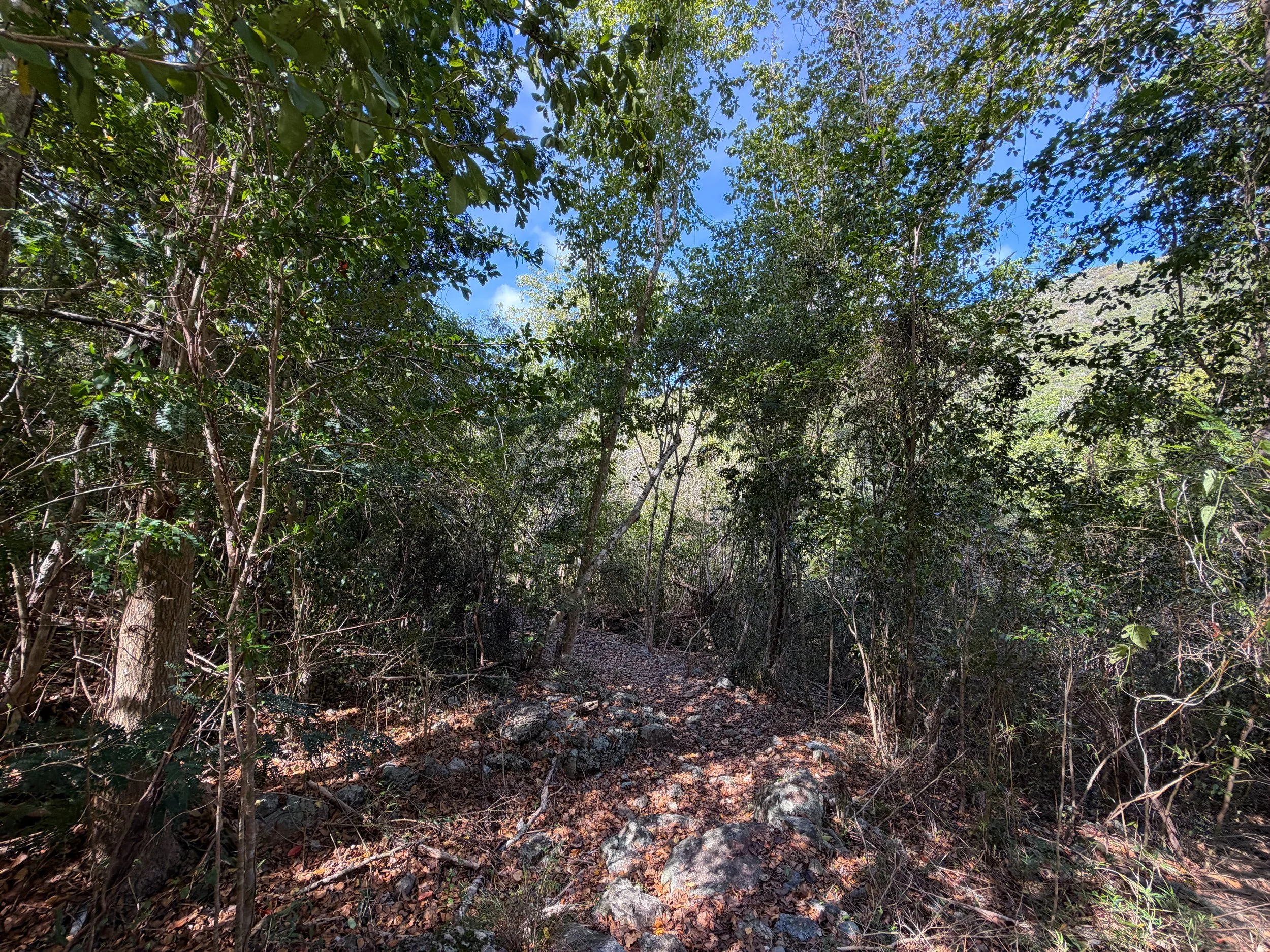 Lameshur Bay Trail to Europa Bay Virgin Islands National Park