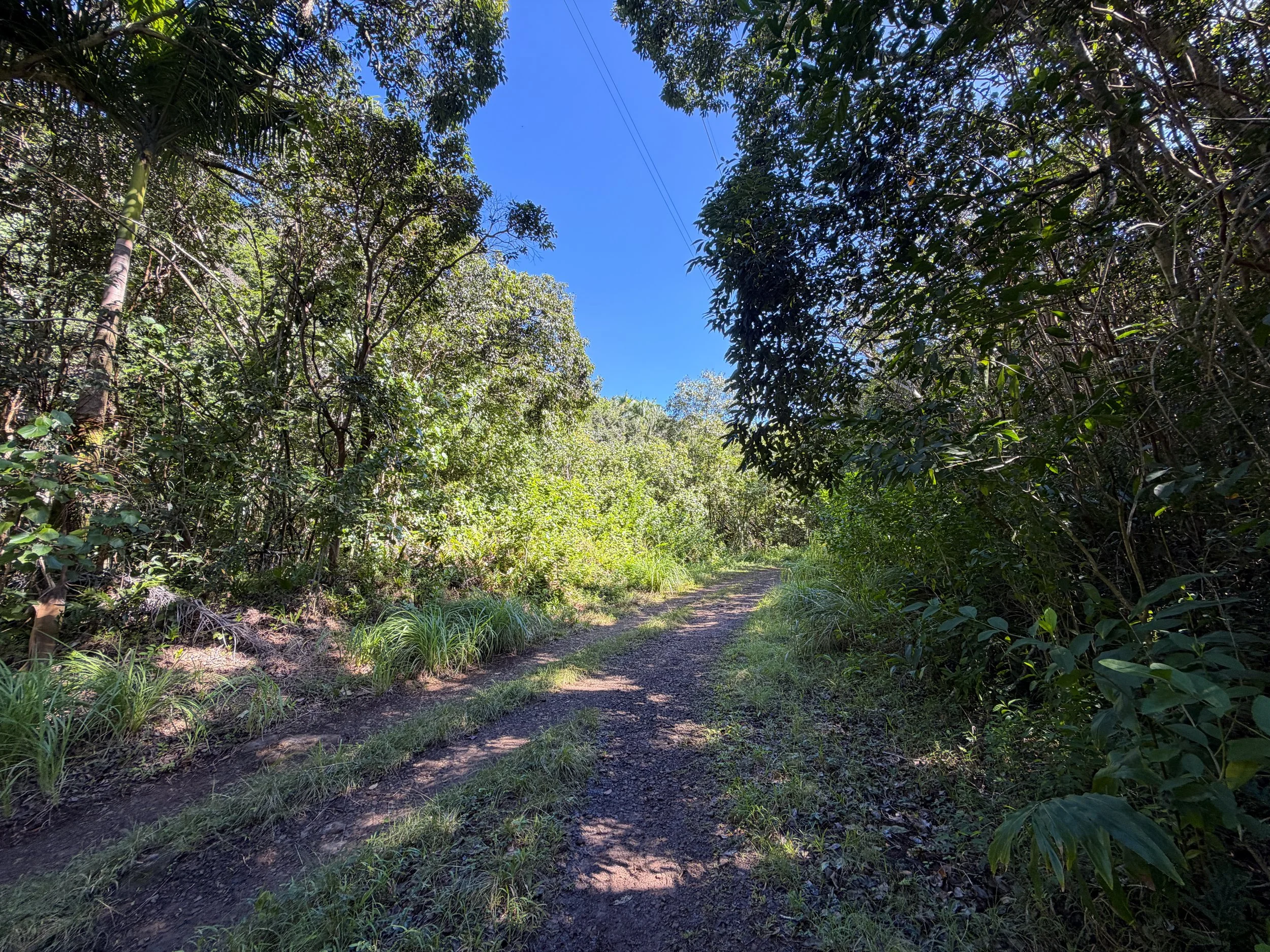 Tripler Ridge Trail via Kamananui Valley Road Oahu Hawaii