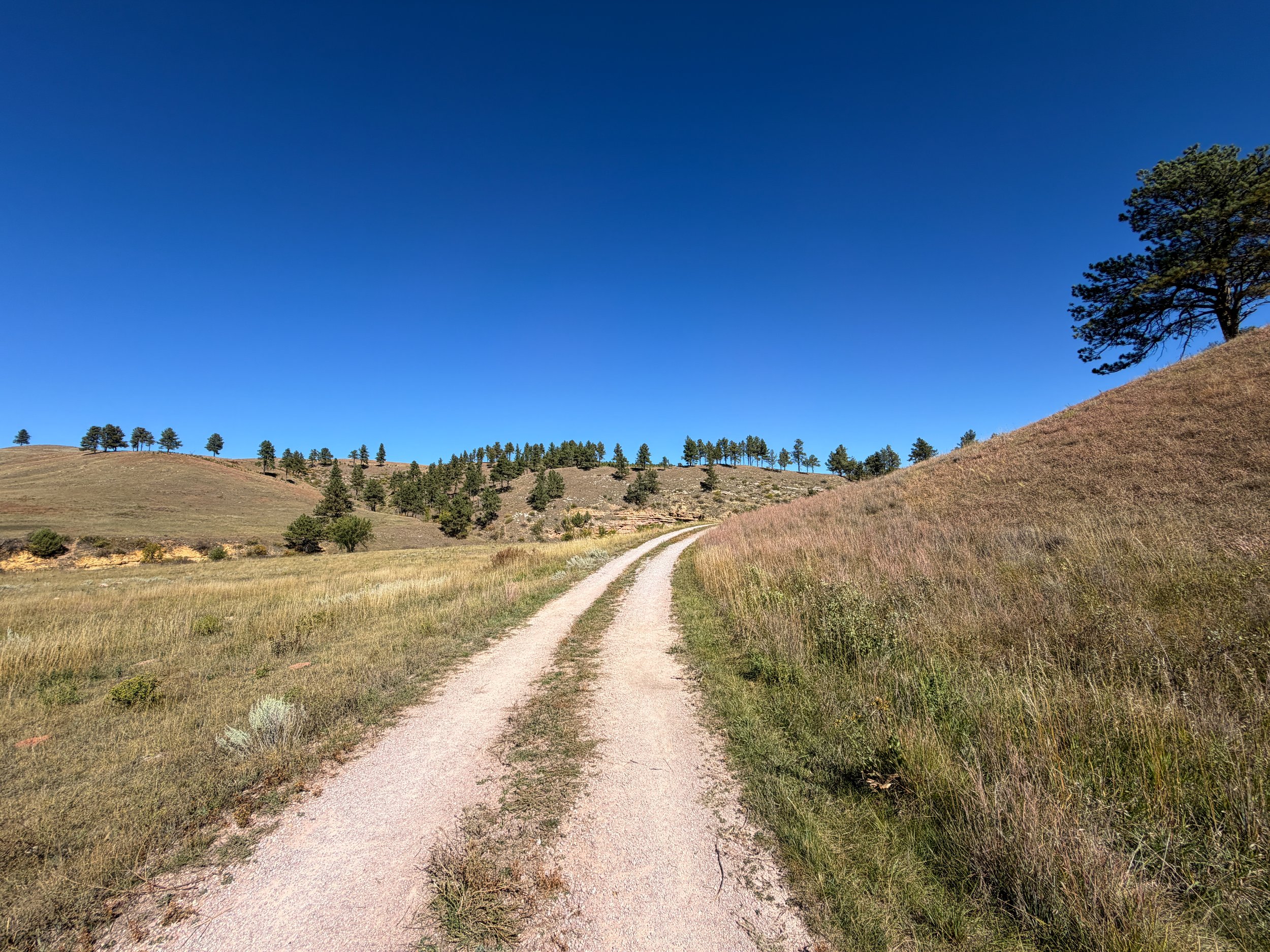 Wind Cave Canyon Trail Wind Cave National Park South Dakota