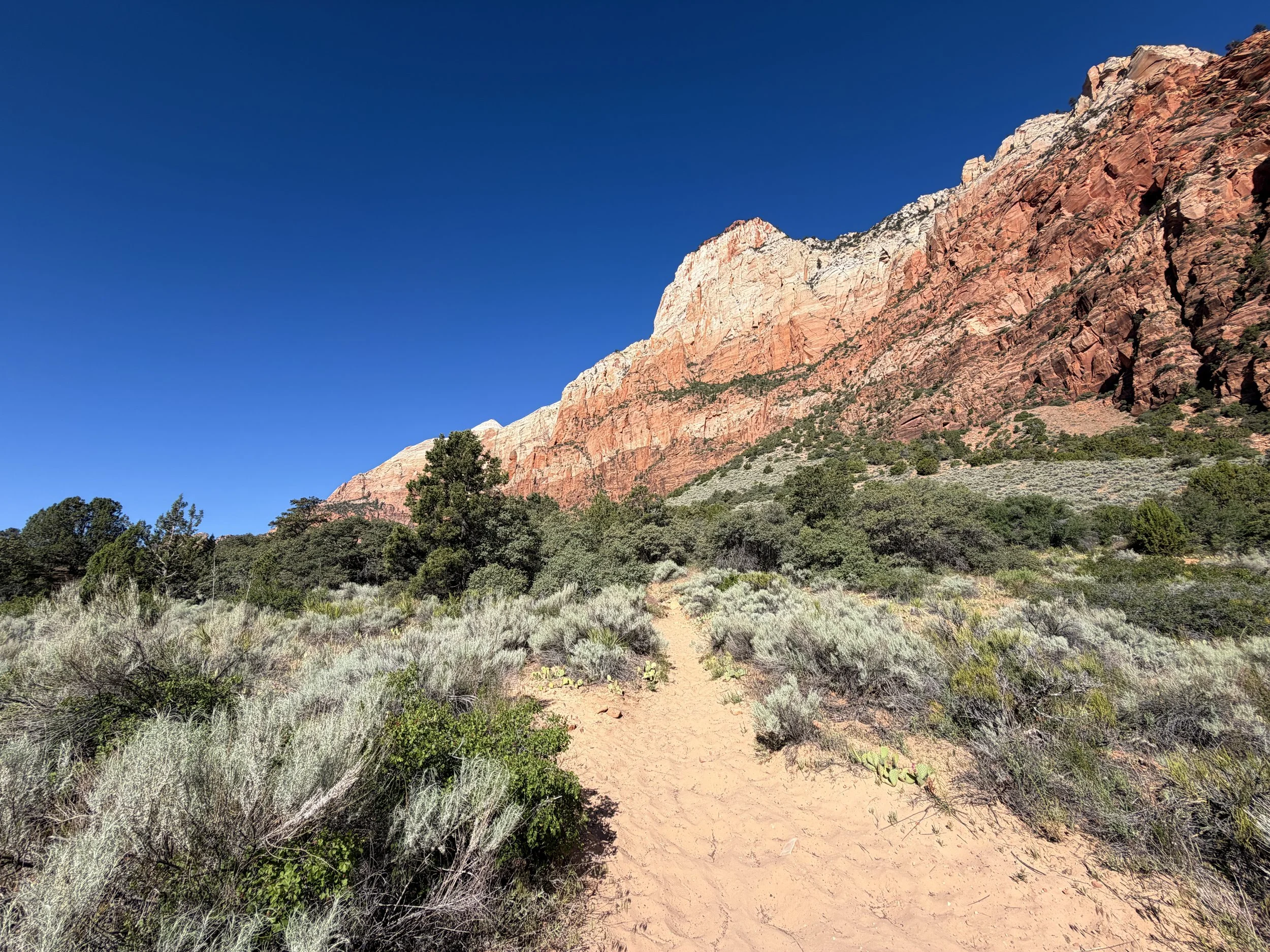 Sand Bench Hike Zion National Park Utah