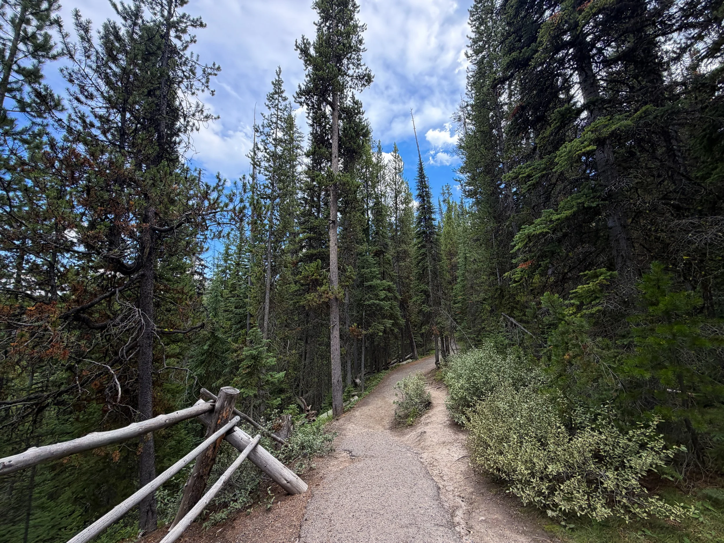 South Rim Trail Yellowstone National Park Wyoming