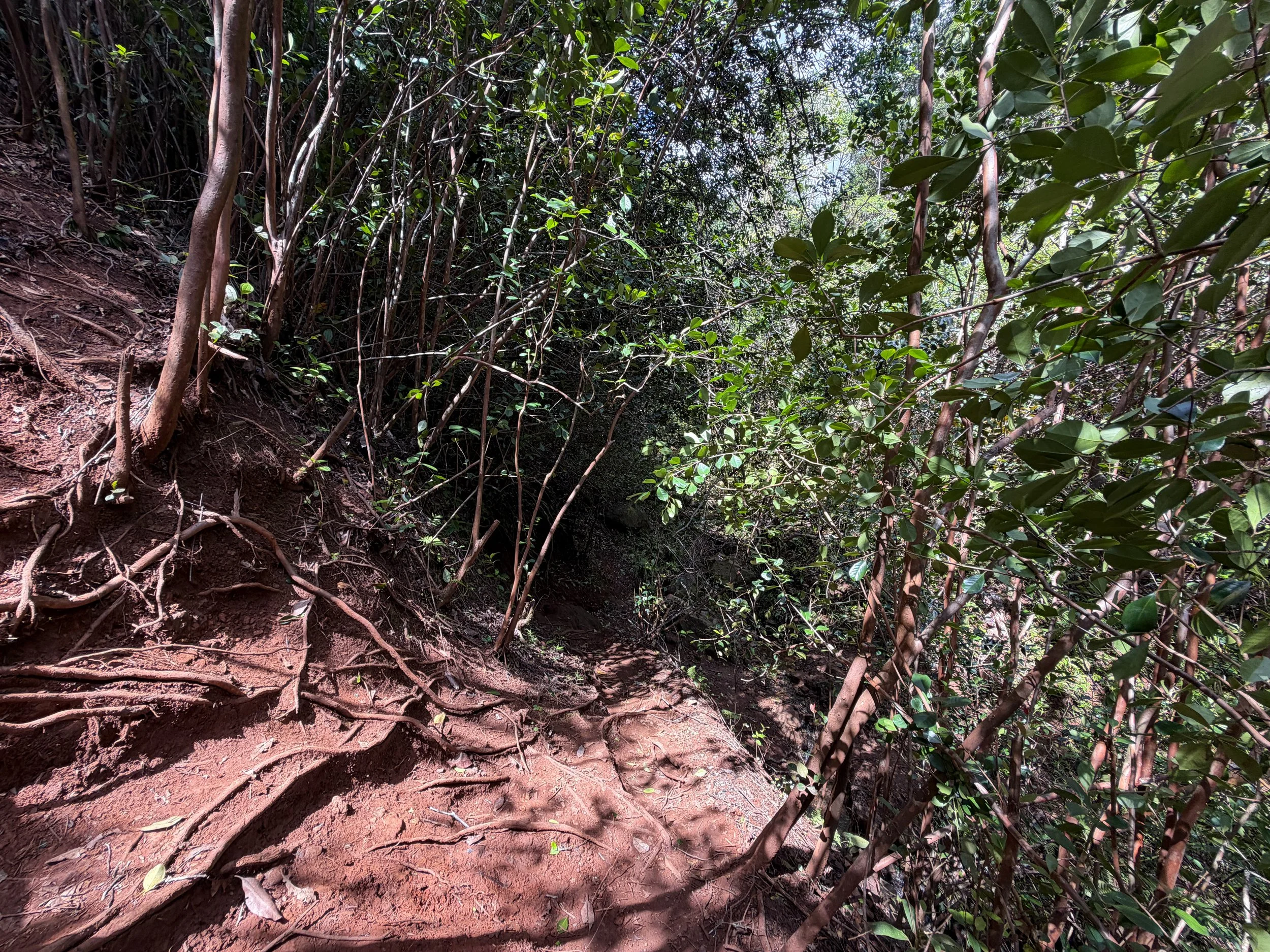 Waimano Falls Hike Oahu Hawaii