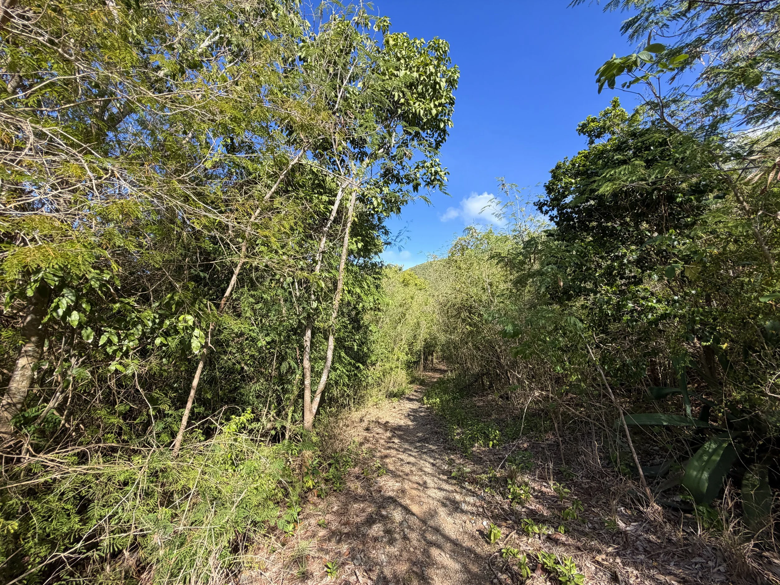 Lameshur Bay Trail Virgin Islands National Park