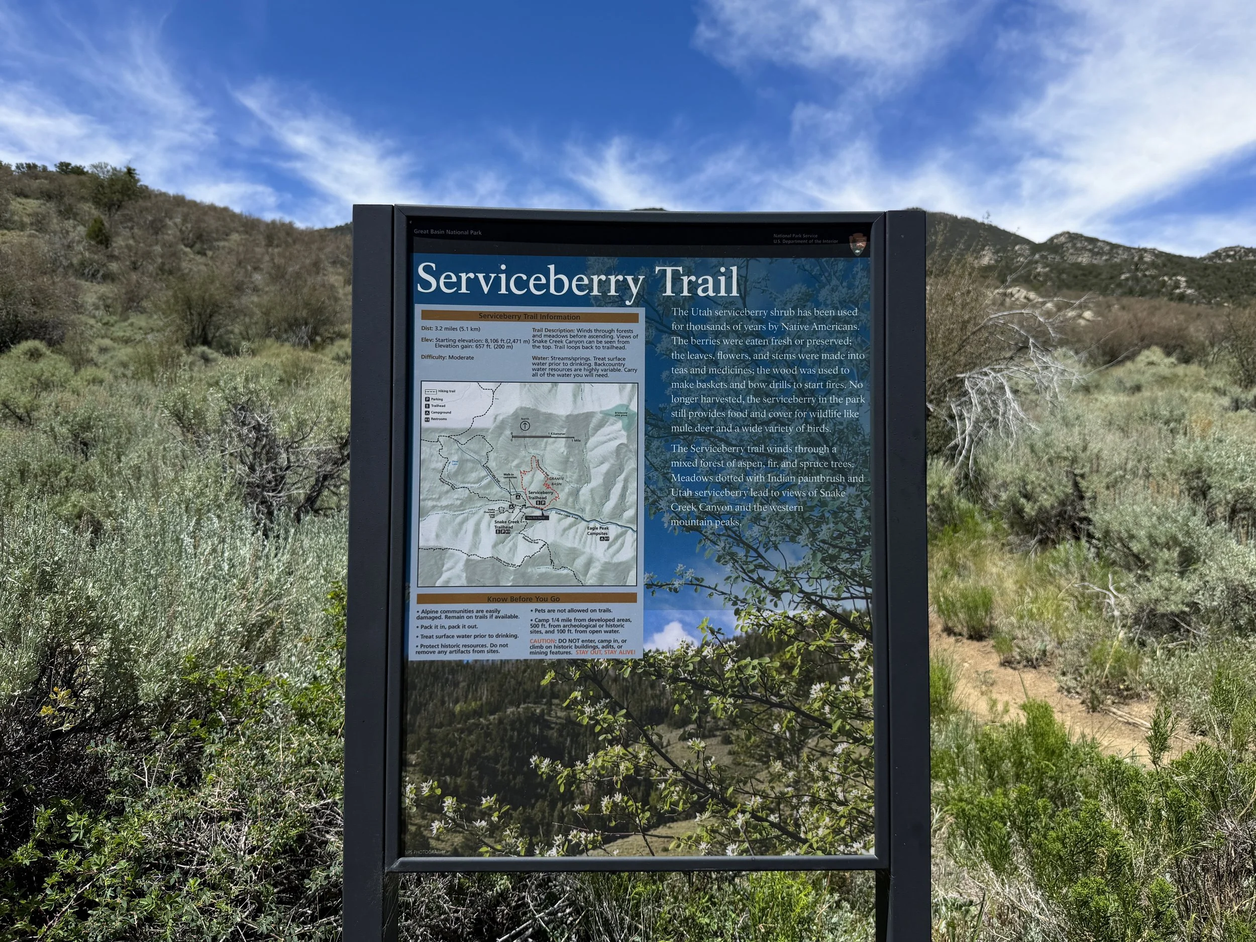 Serviceberry Loop Trailhead Great Basin National Park Nevada
