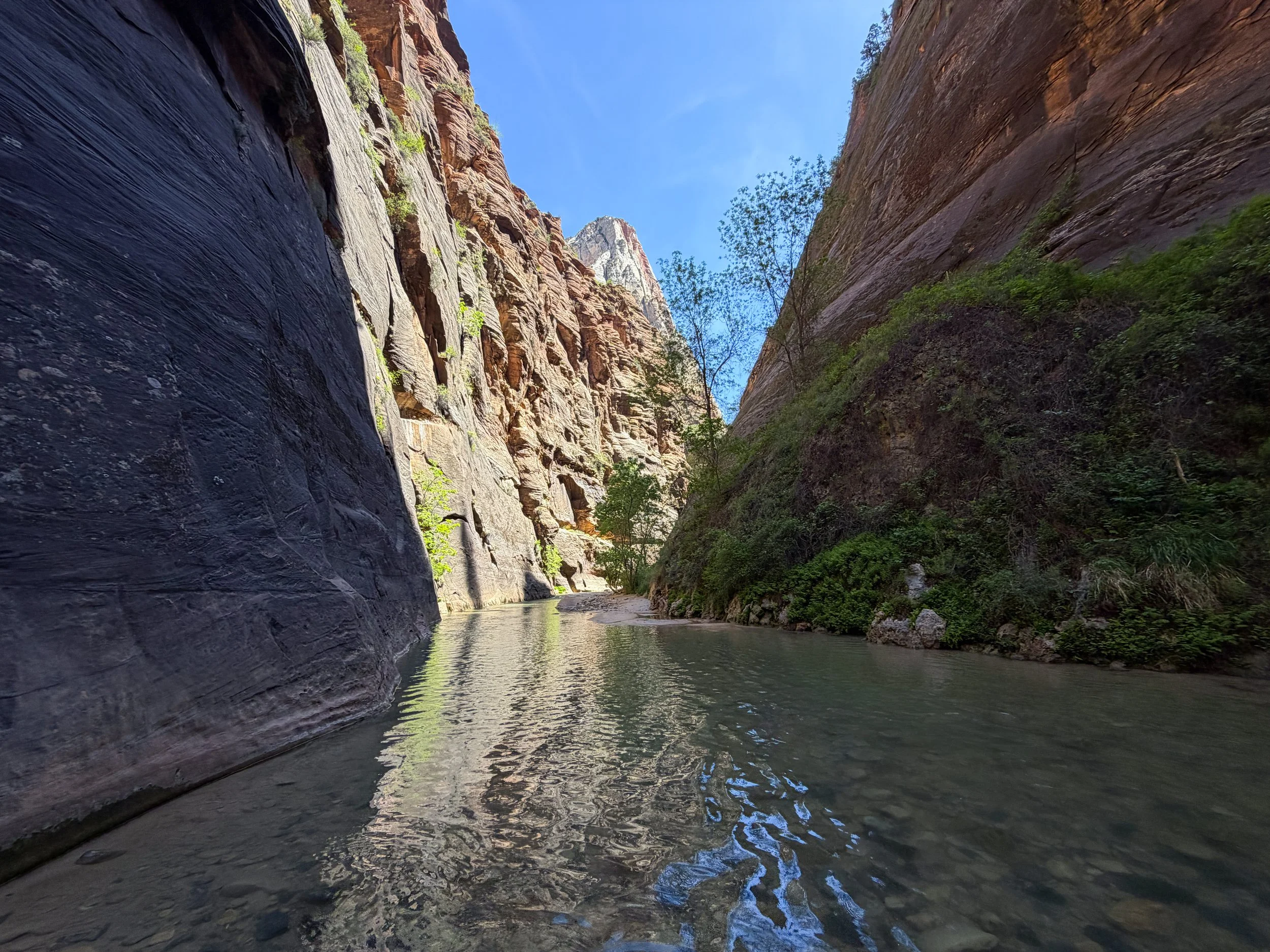 The Narrows Zion National Park Utah