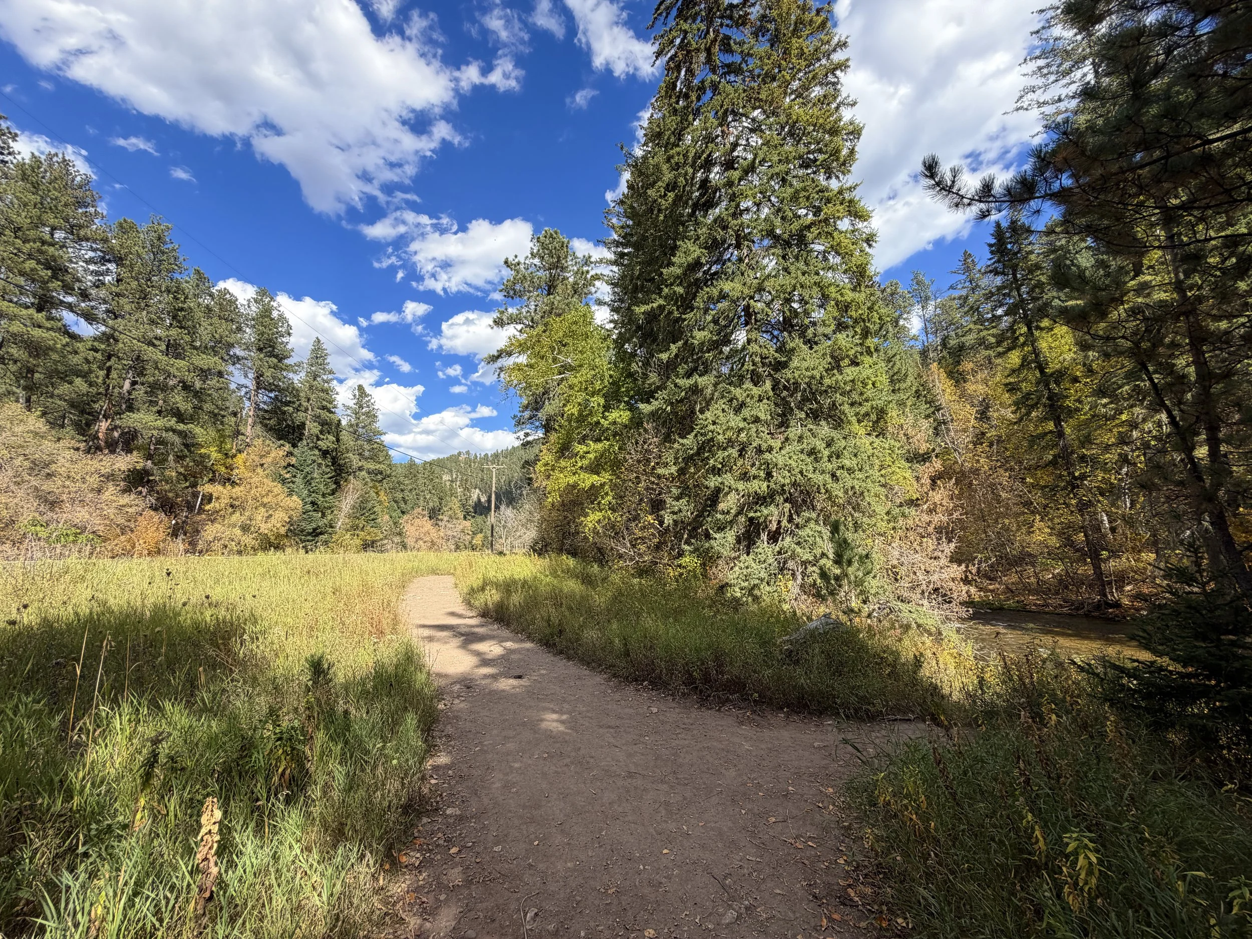 Devils Bathtub Trail Spearfish Canyon Black Hills South Dakota