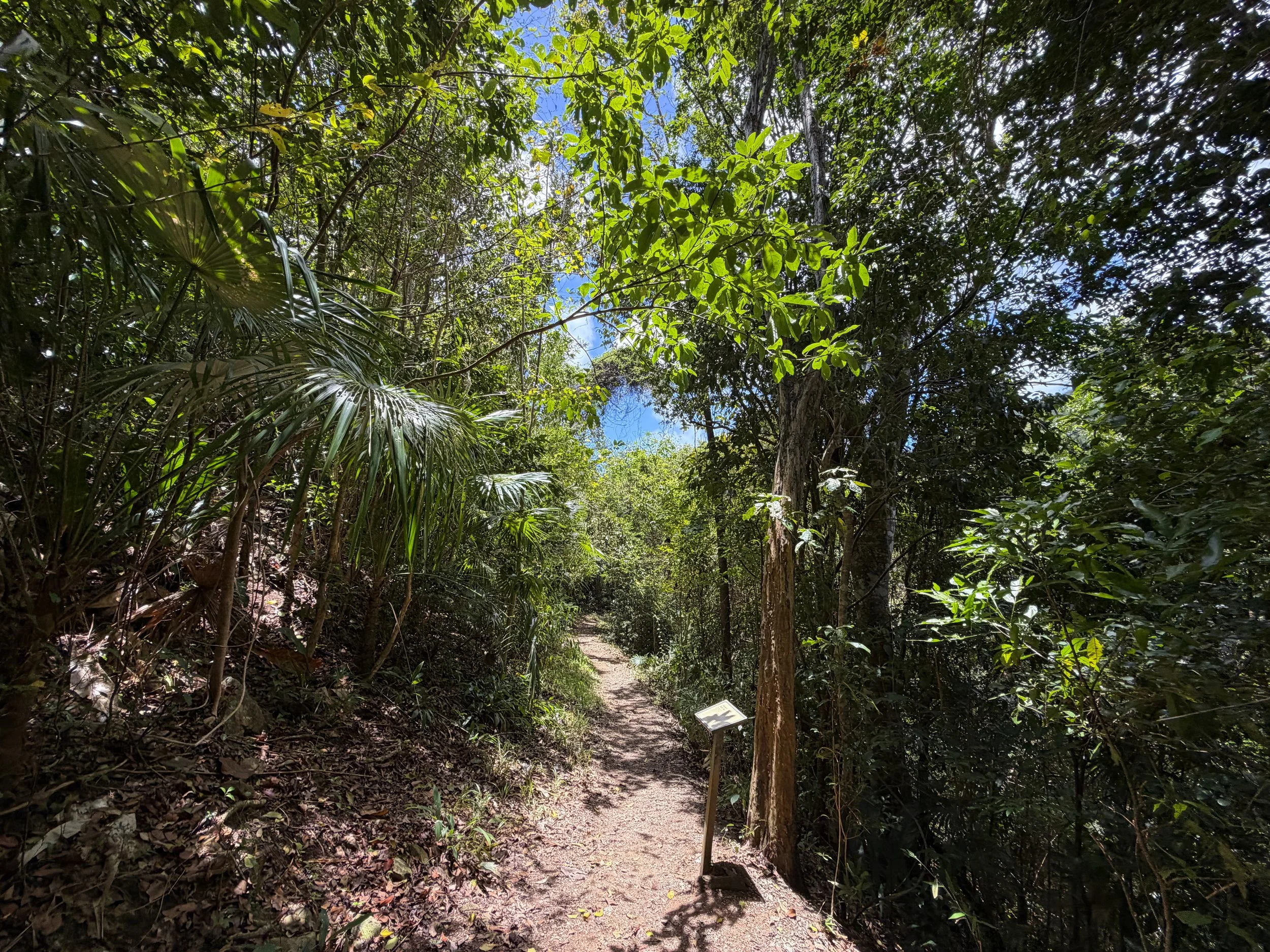 Reef Bay Trail Virgin Islands National Park