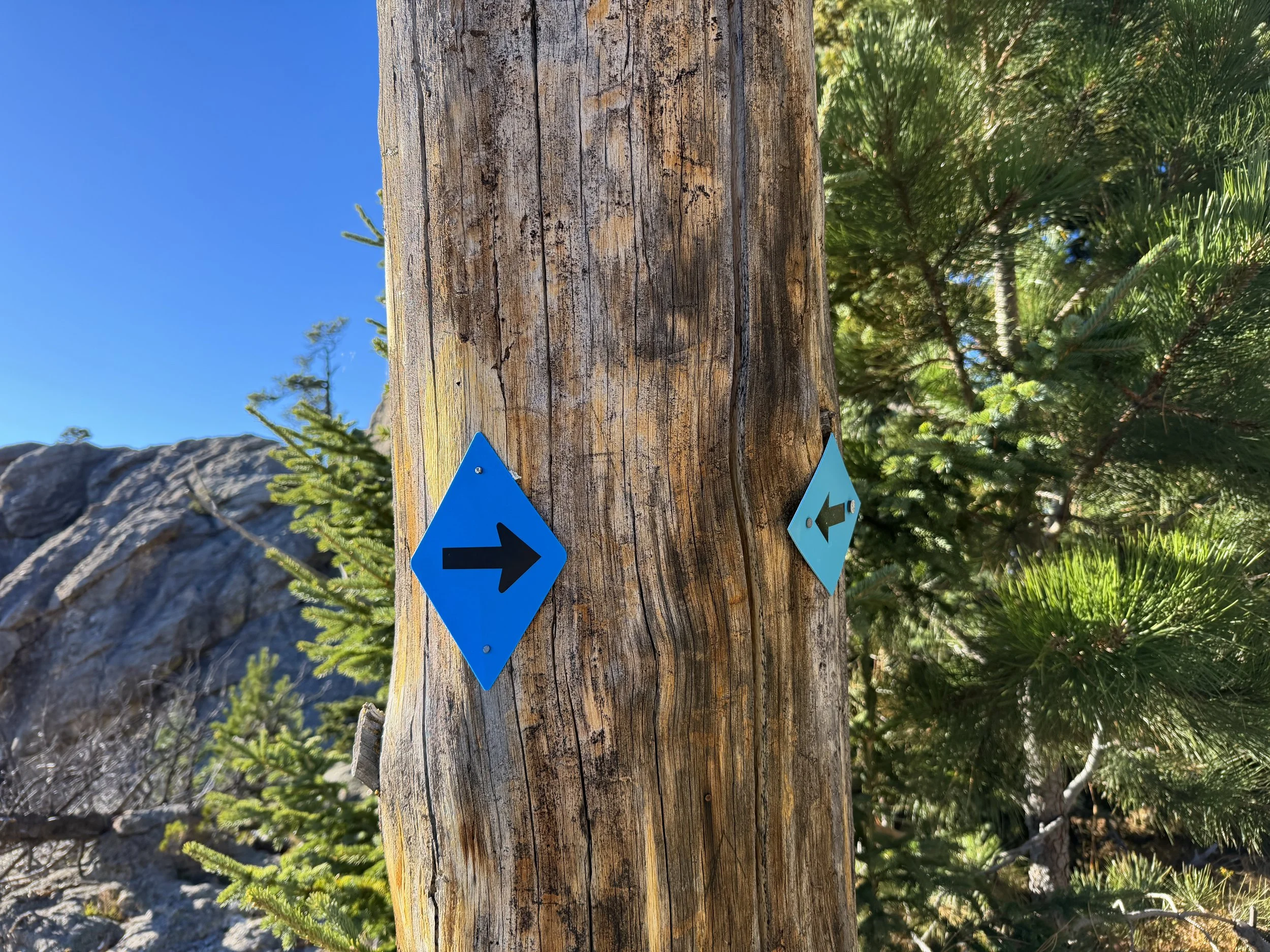 Little Devils Tower Trail Custer State Park Black Hills South Dakota