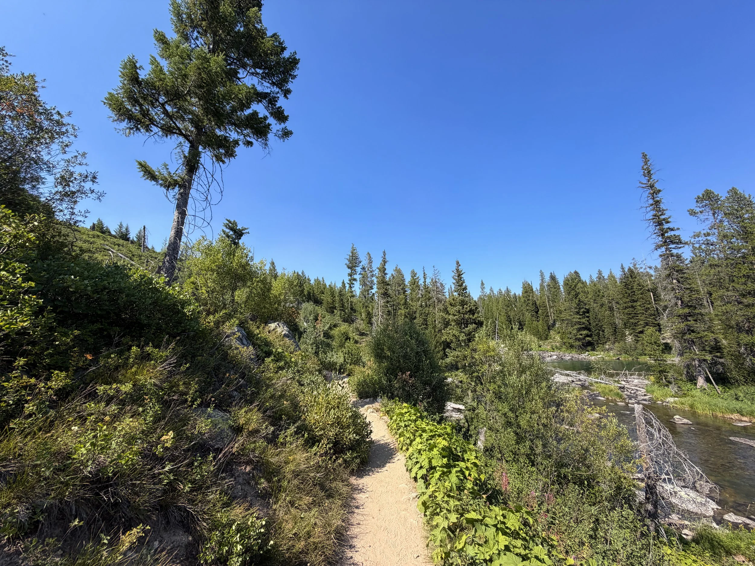 Jenny Lake Loop Trail Grand Teton National Park Wyoming