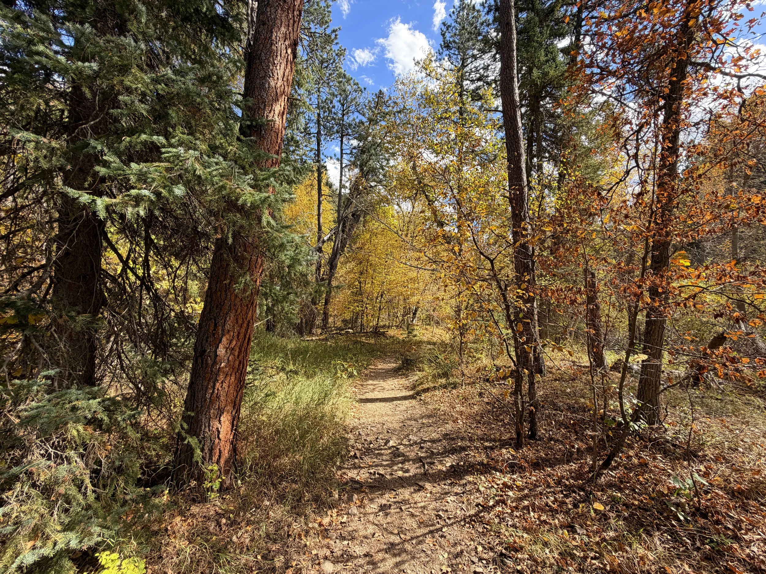 Devils Bathtub Hike Spearfish Canyon Black Hills South Dakota