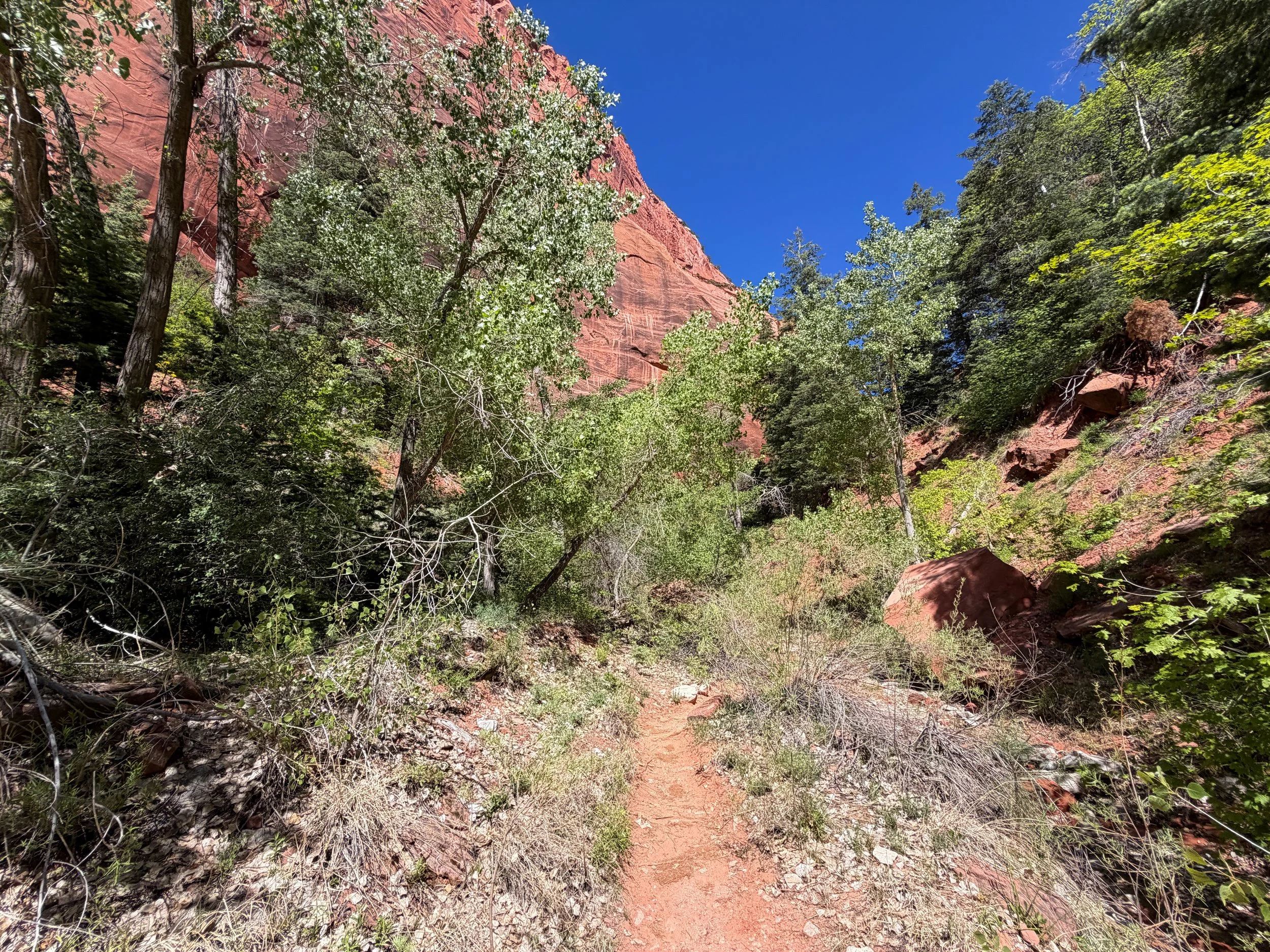 Middle Taylor Creek Trail Zion National Park Utah