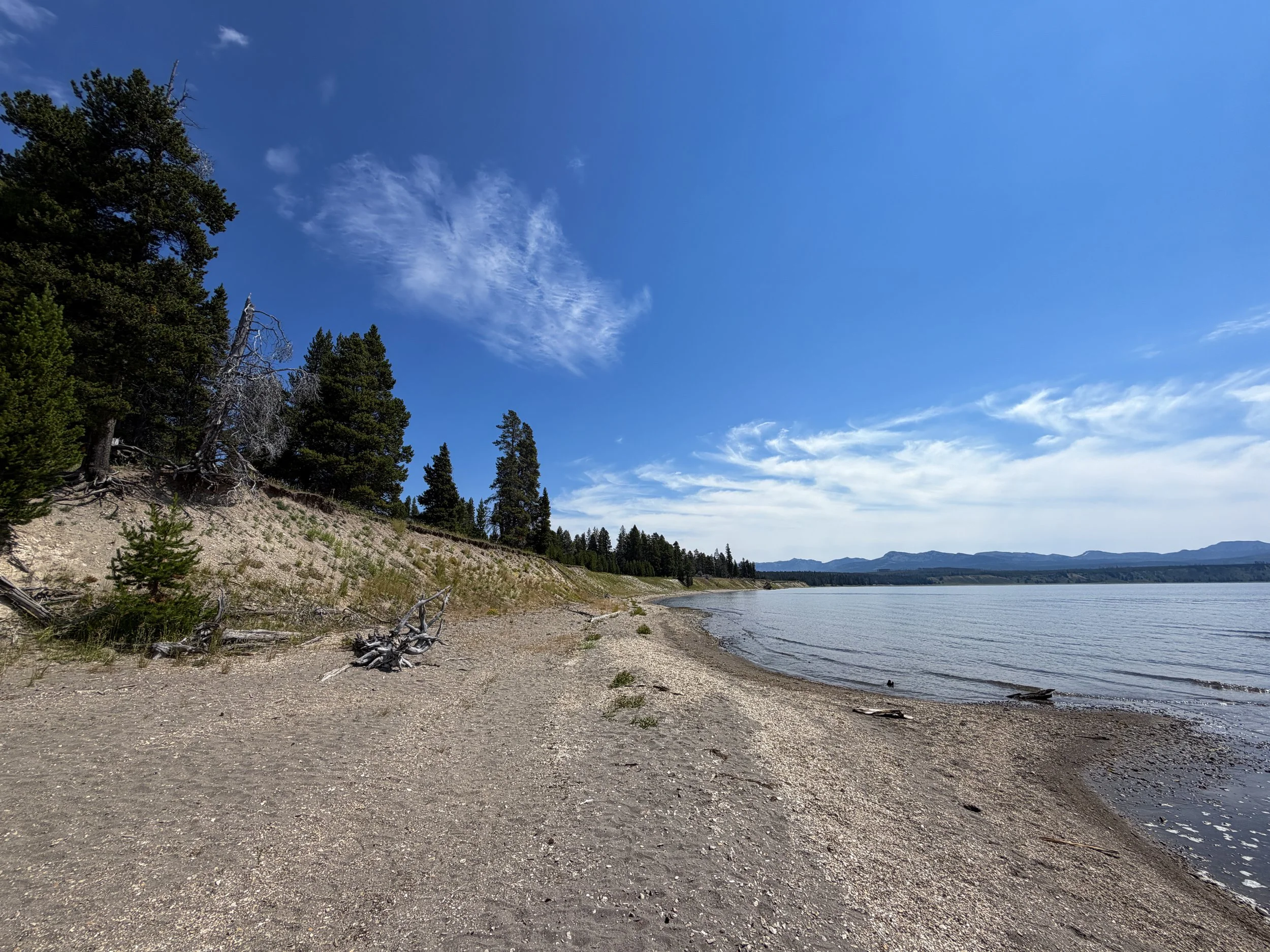 Storm Point Trail Yellowstone National Park Wyoming