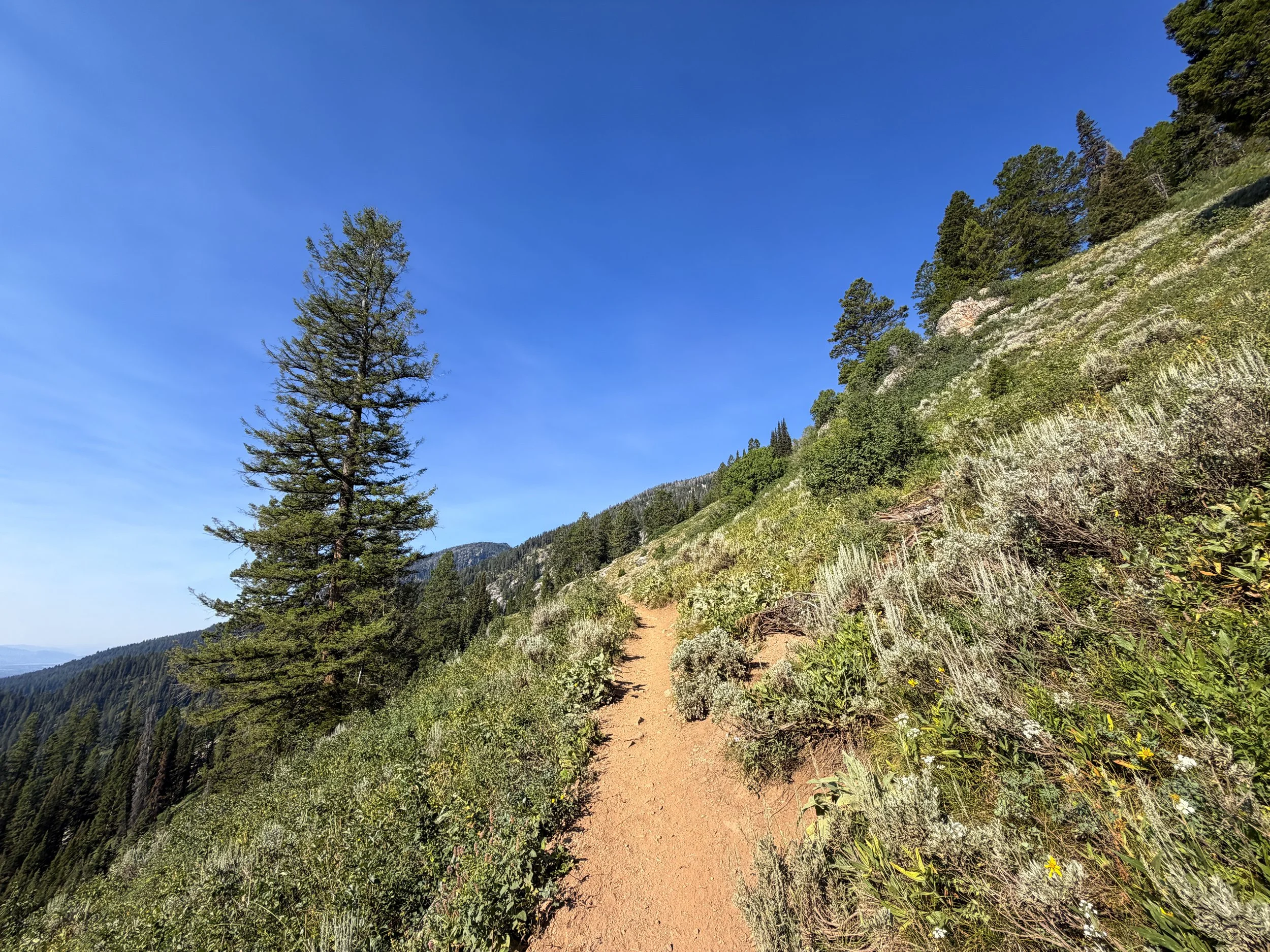 Delta Lake Hike Switchbacks Grand Teton National Park Wyoming