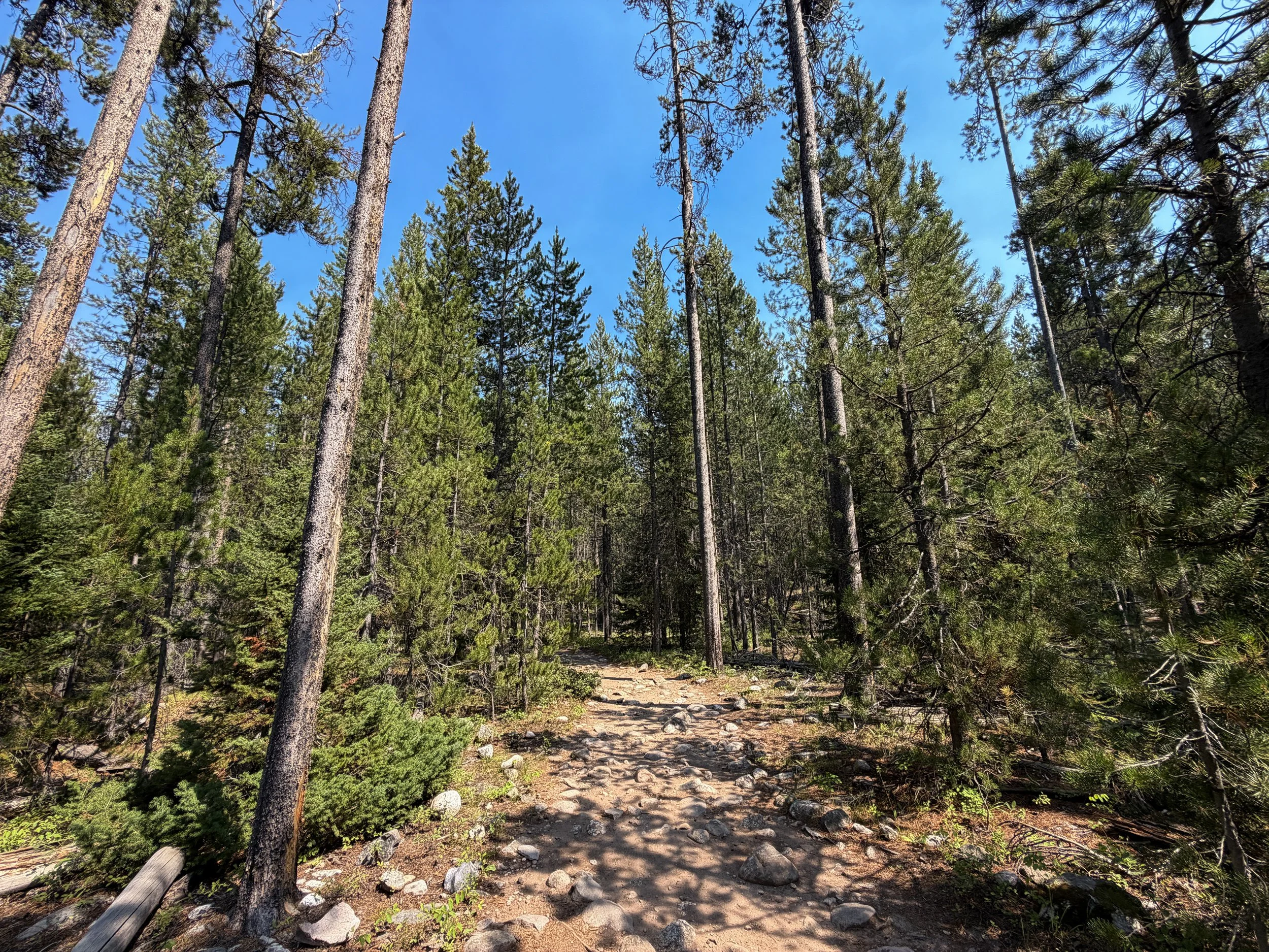 Phelps Lake Loop Trail Grand Teton National Park Wyoming