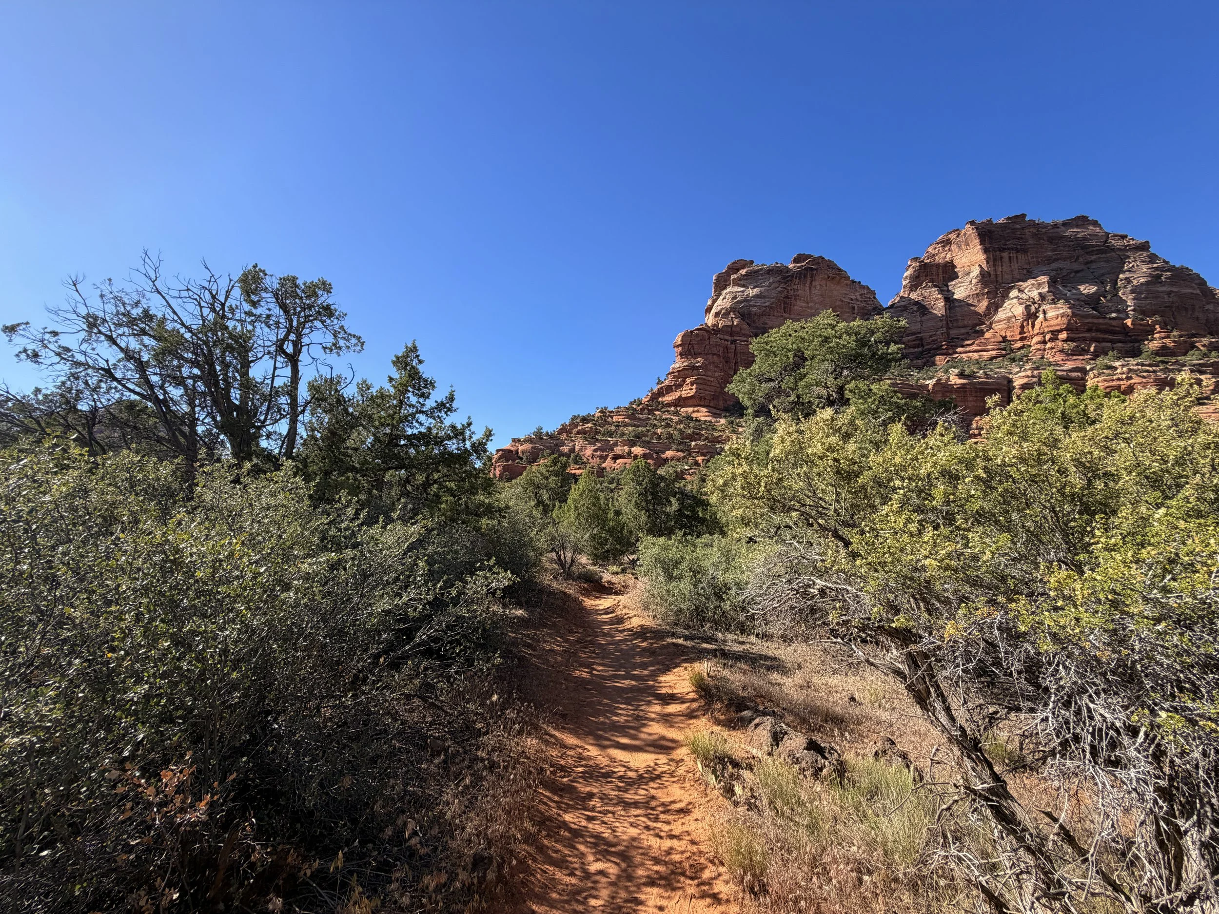 Left Fork Trail to the Subway Zion National Park Utah