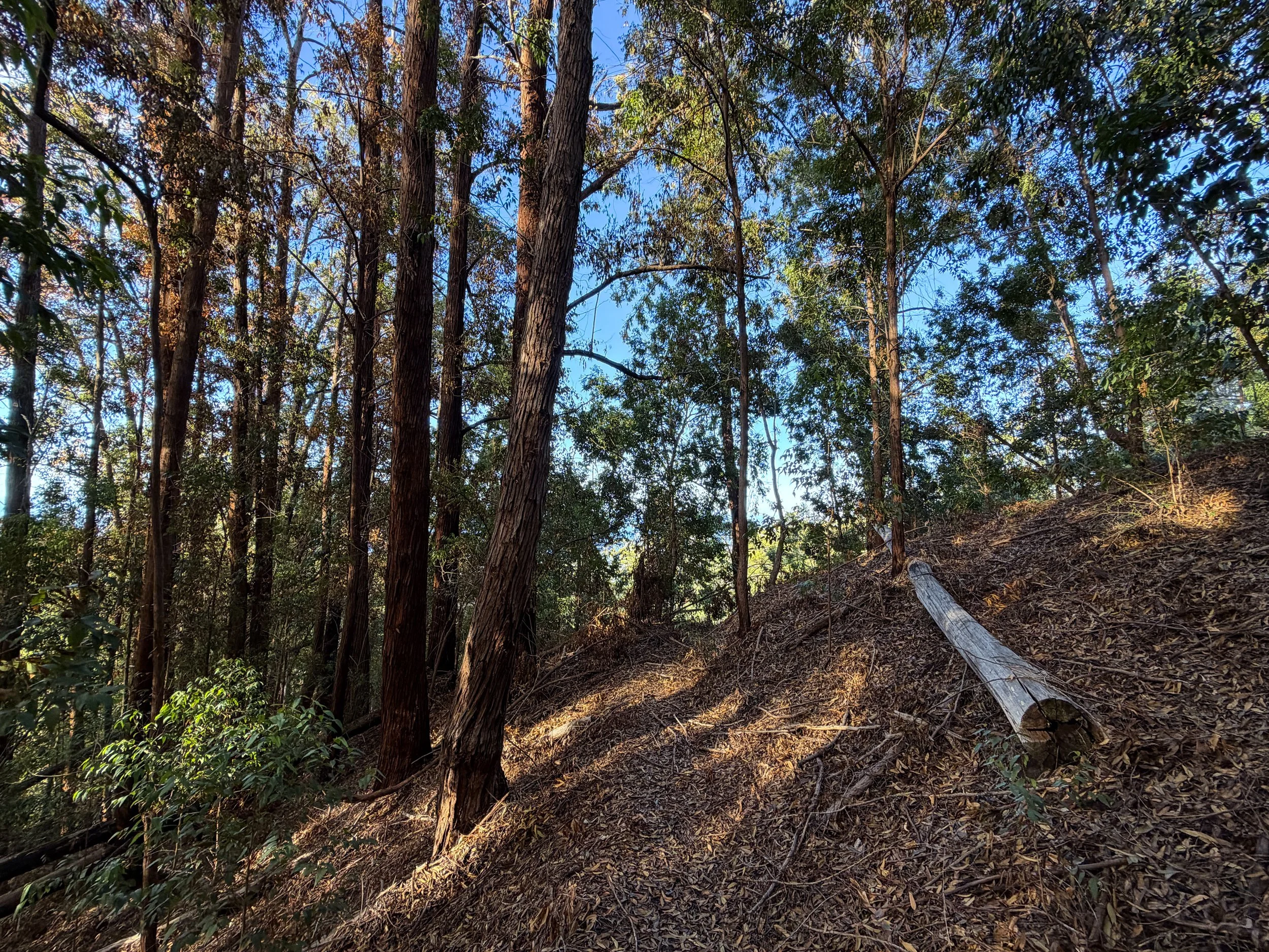 Mokuleia Trail Oahu Hawaii