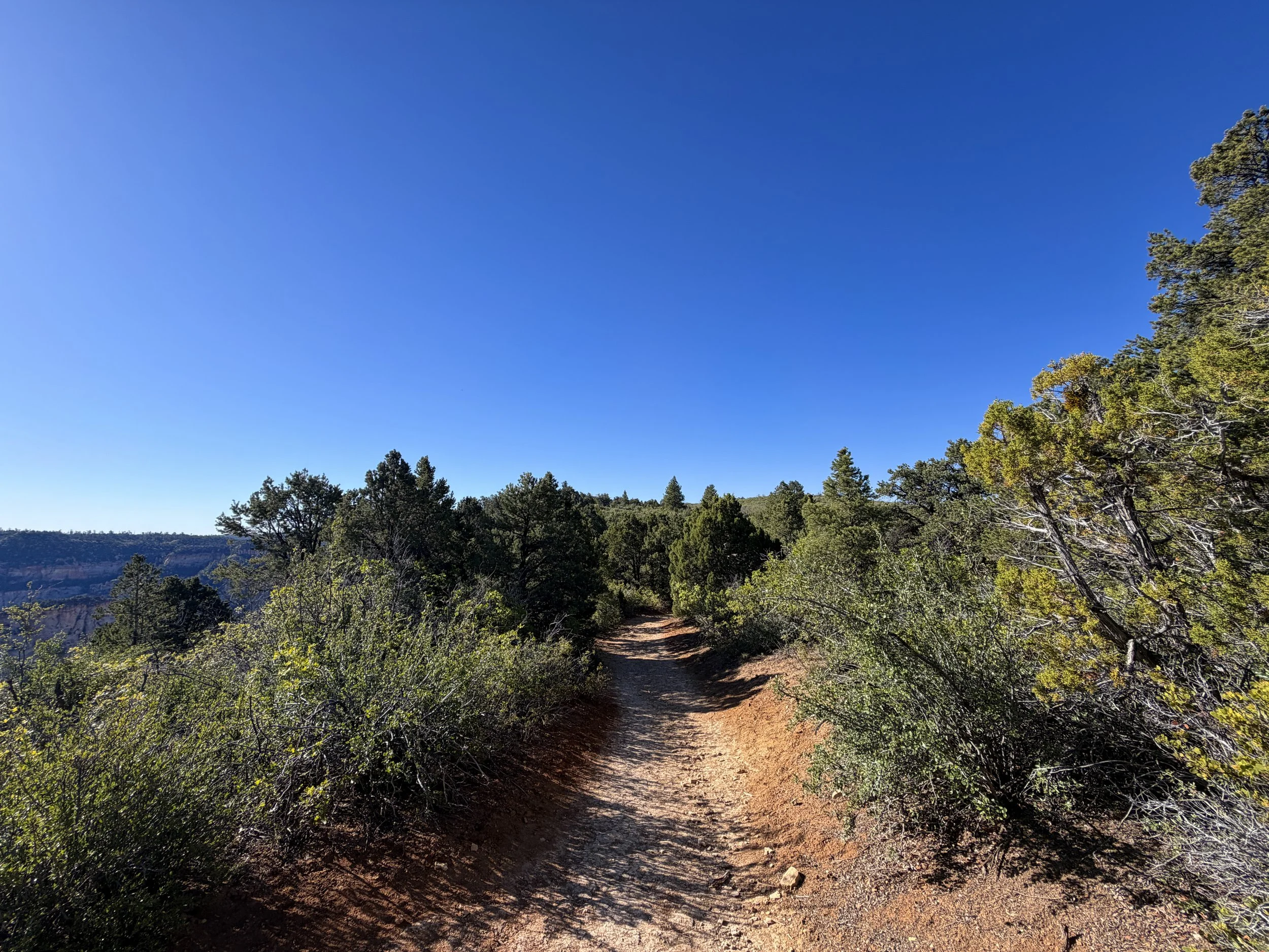 East Mesa Trail to Observation Point Zion National Park Utah