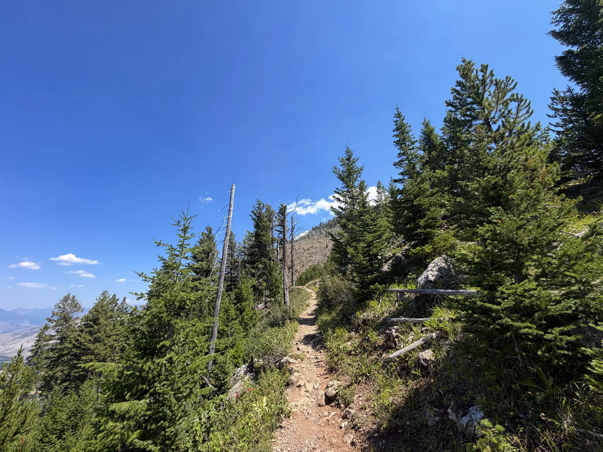 Bunsen Peak Trail Yellowstone National Park Wyoming
