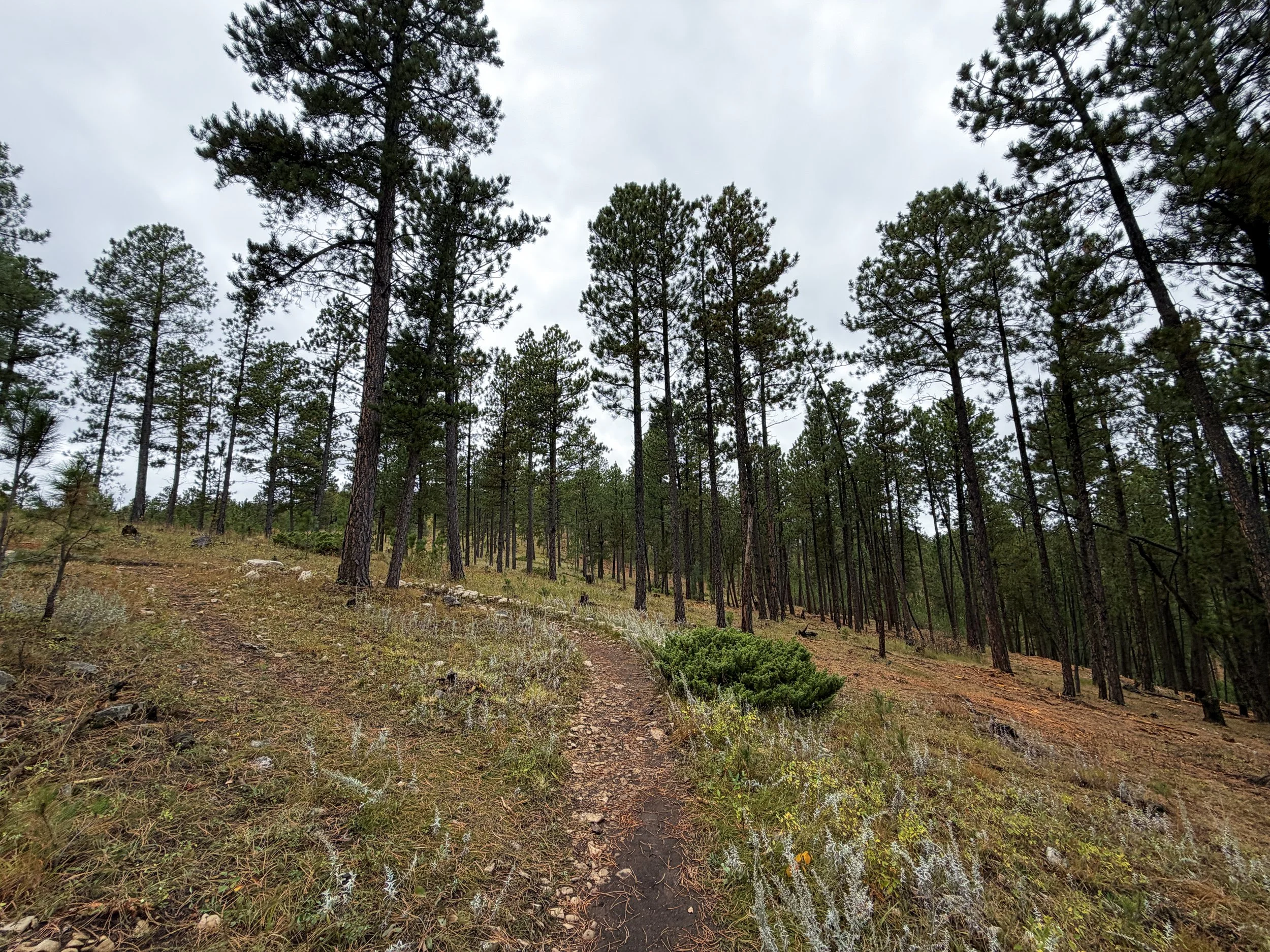 Buzzards Roost Hike Black Hills Rapid City South Dakota