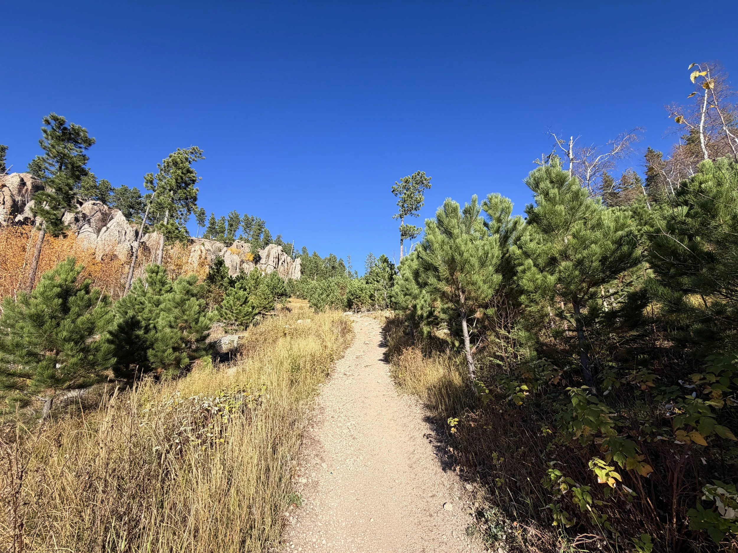 Little Devils Tower Trail Custer State Park Black Hills South Dakota
