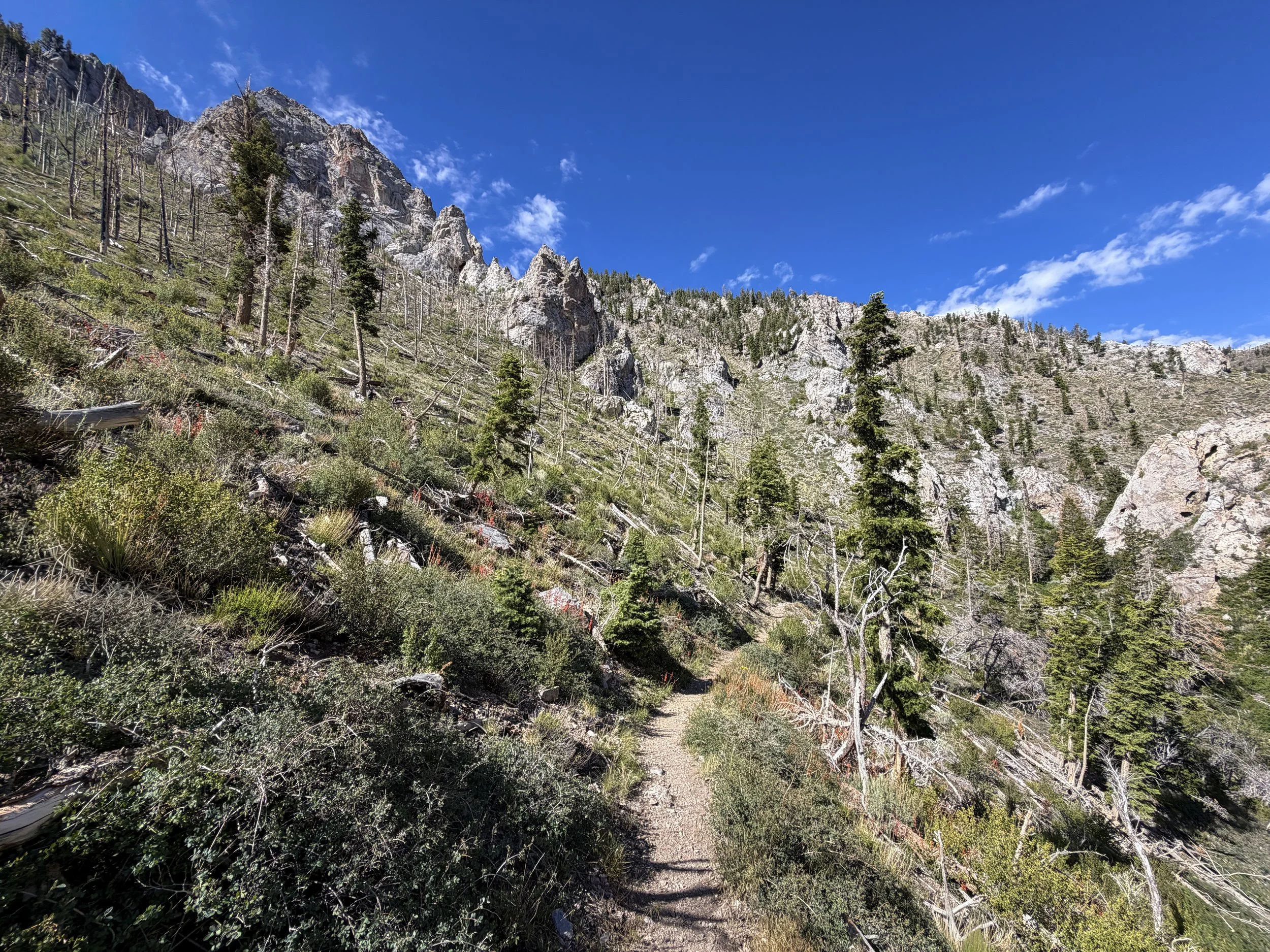 Lexington Arch Trail Great Basin National Park Nevada