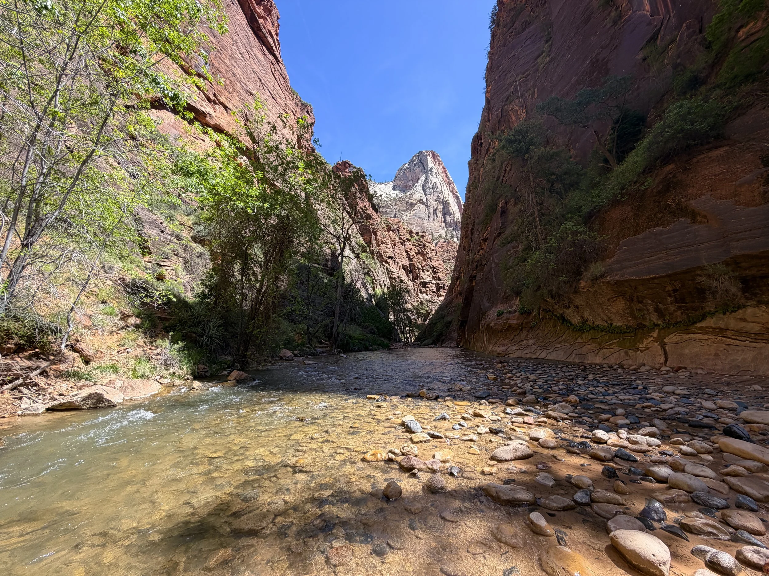 The Narrows Zion National Park Utah