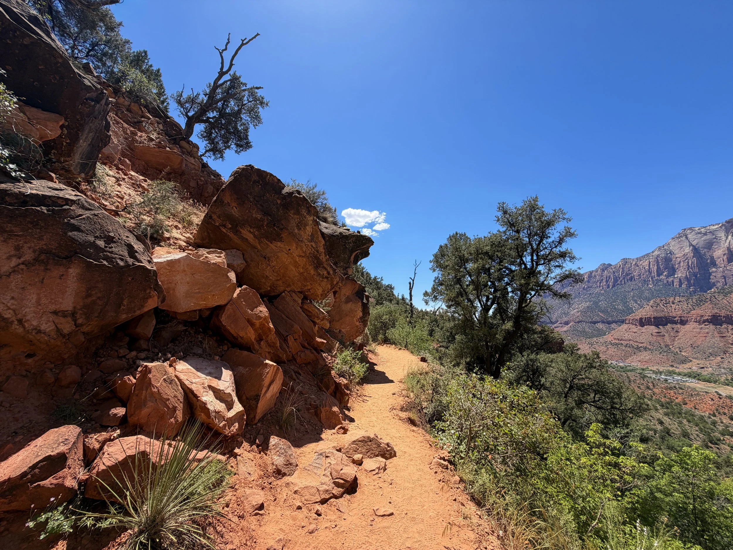 Watchman Trail Zion National Park Utah